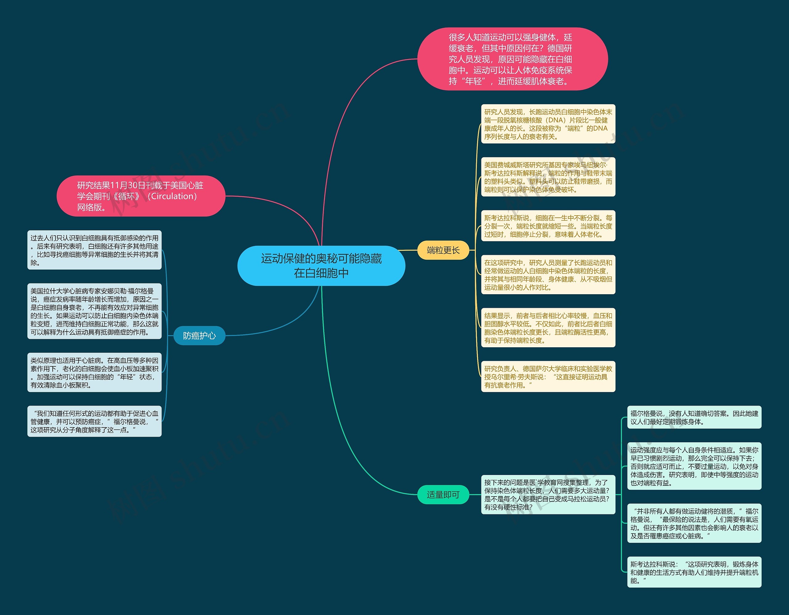 运动保健的奥秘可能隐藏在白细胞中思维导图