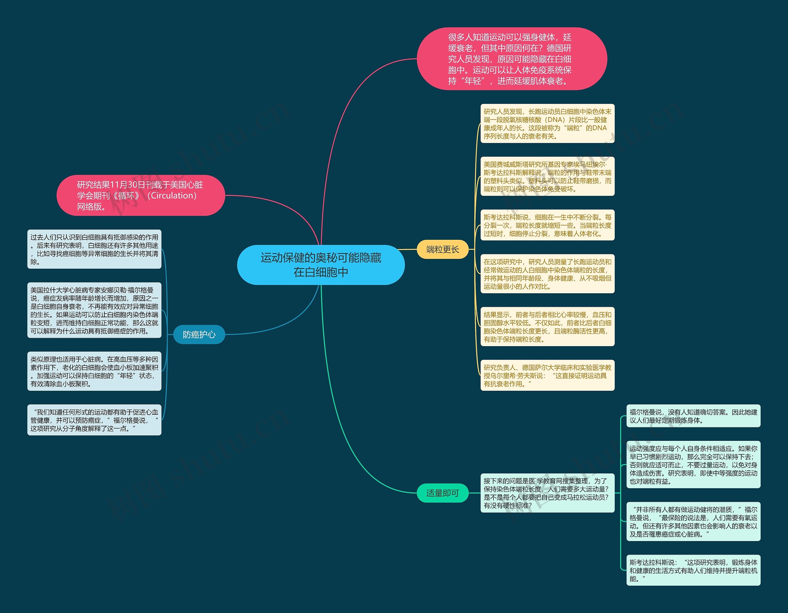 运动保健的奥秘可能隐藏在白细胞中 运动保健的奥秘可能隐藏在白细胞中