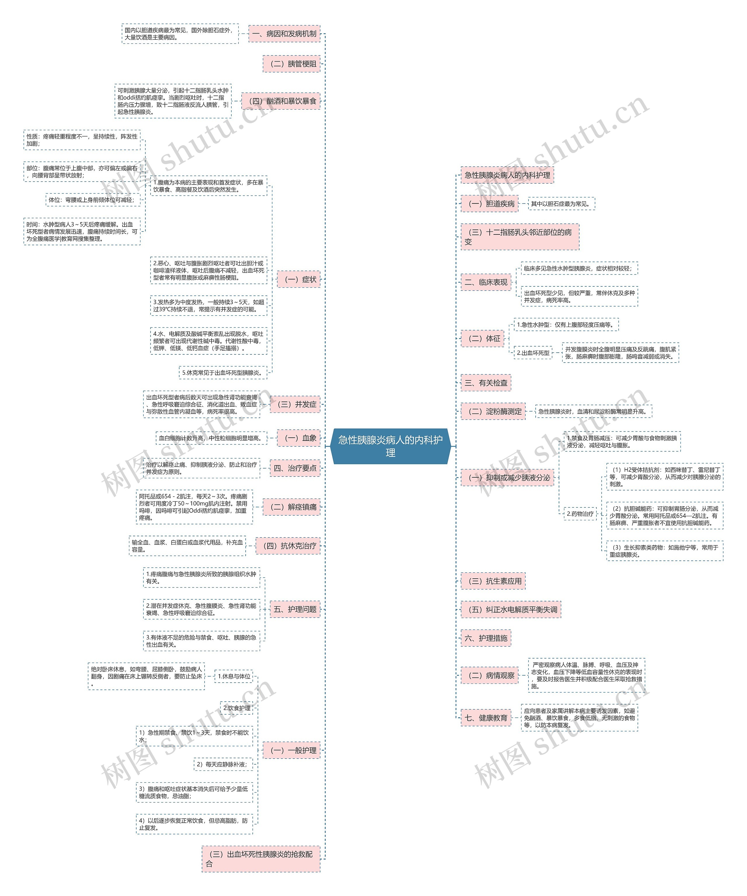 急性胰腺炎病人的内科护理 急性胰腺炎病人的内科护理