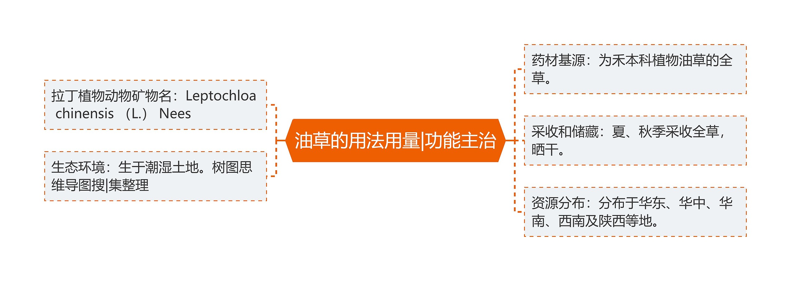 油草的用法用量|功能主治 油草的用法用量|功能主治