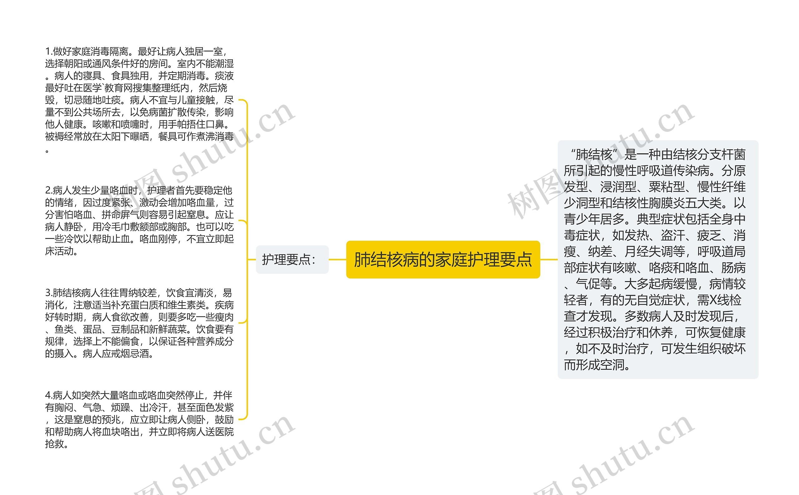 肺结核病的家庭护理要点思维导图