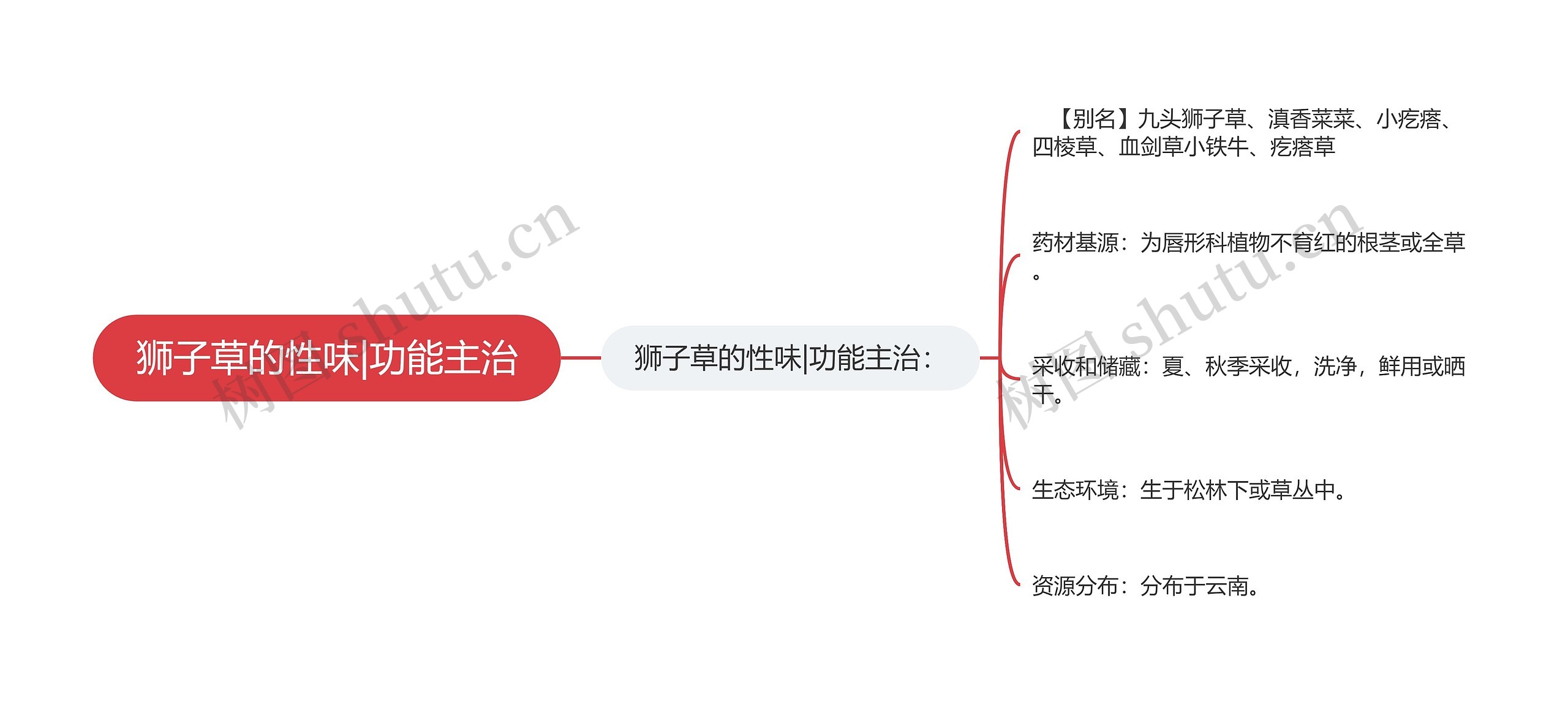 狮子草的性味|功能主治思维导图