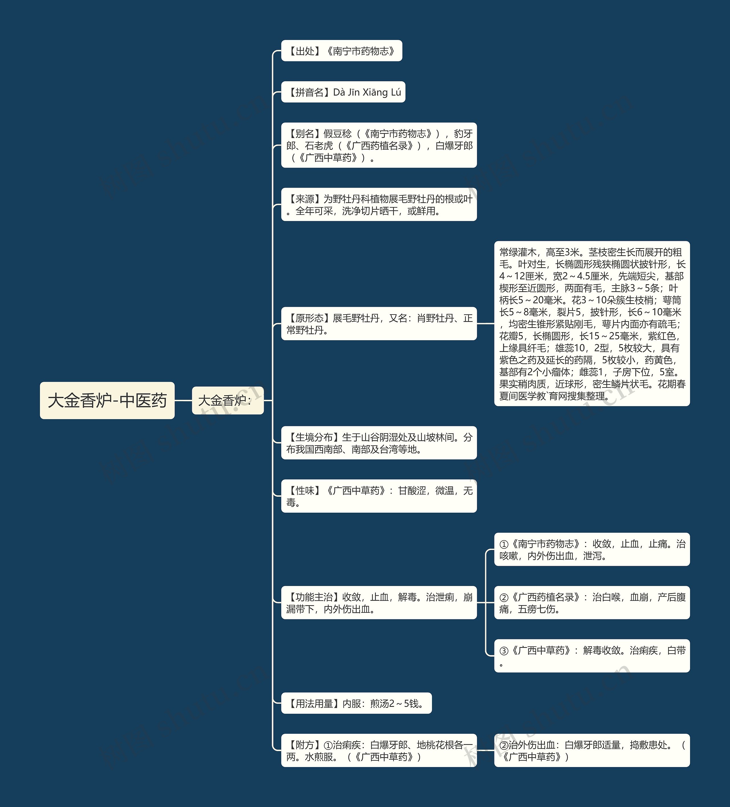 大金香炉-中医药思维导图