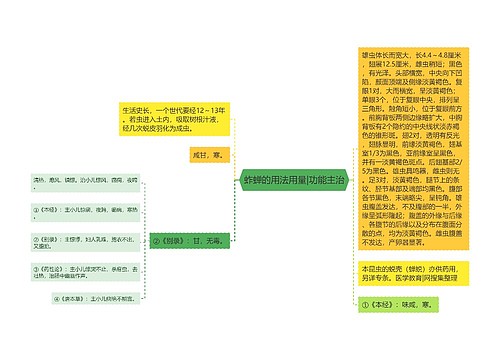 蚱蝉的用法用量|功能主治