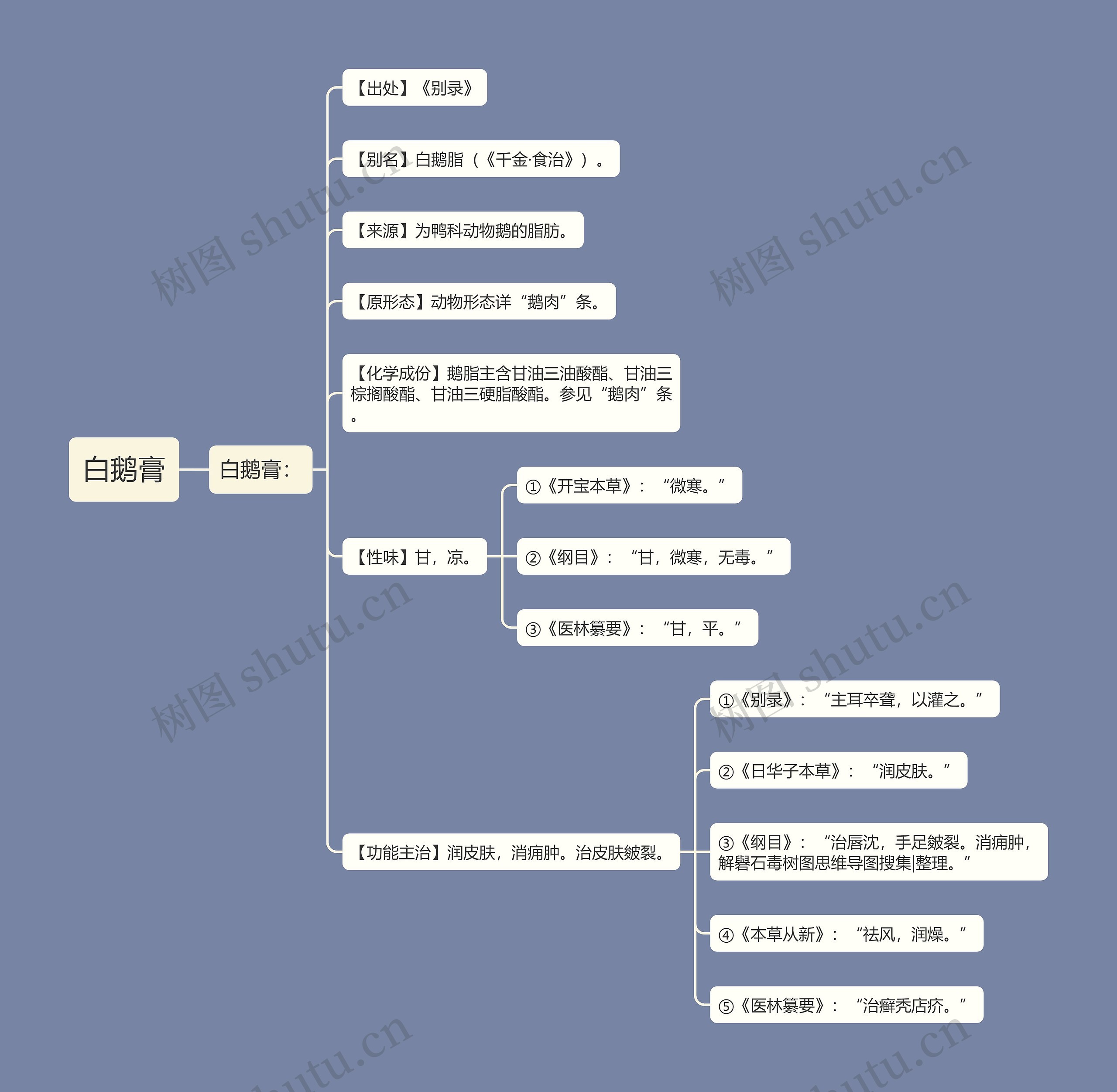 白鹅膏思维导图