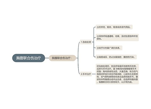 胸腹联合伤治疗