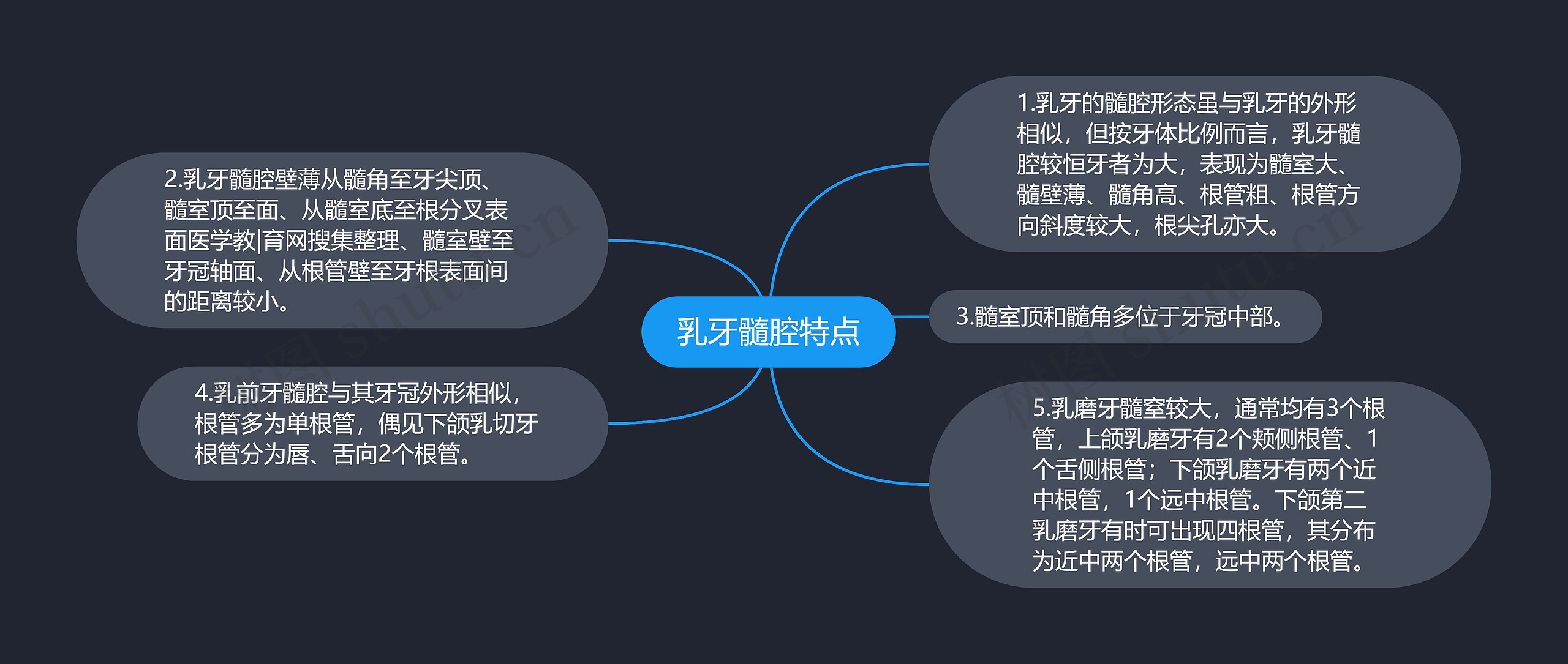 乳牙髓腔特点 乳牙髓腔特点