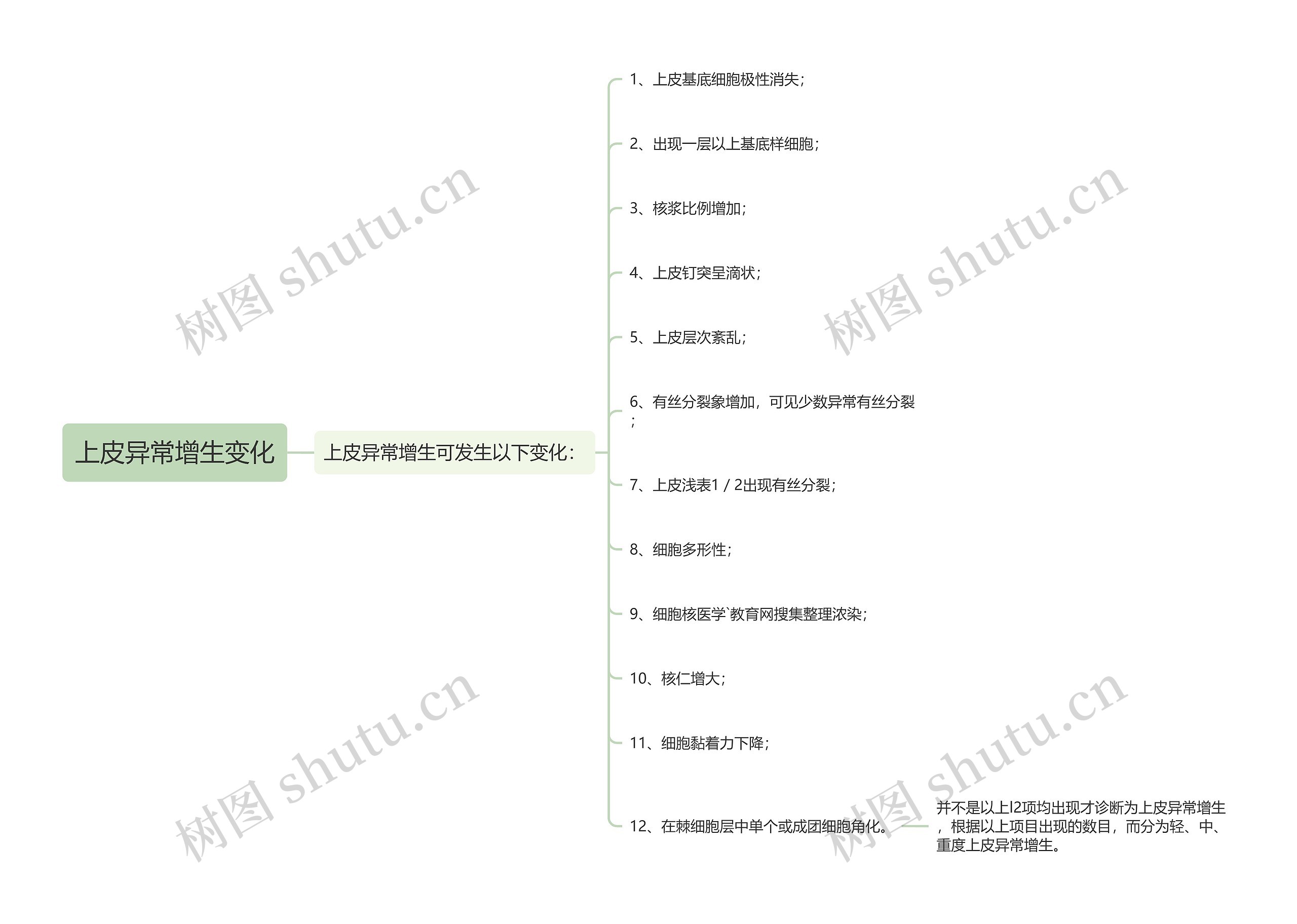 上皮异常增生变化思维导图