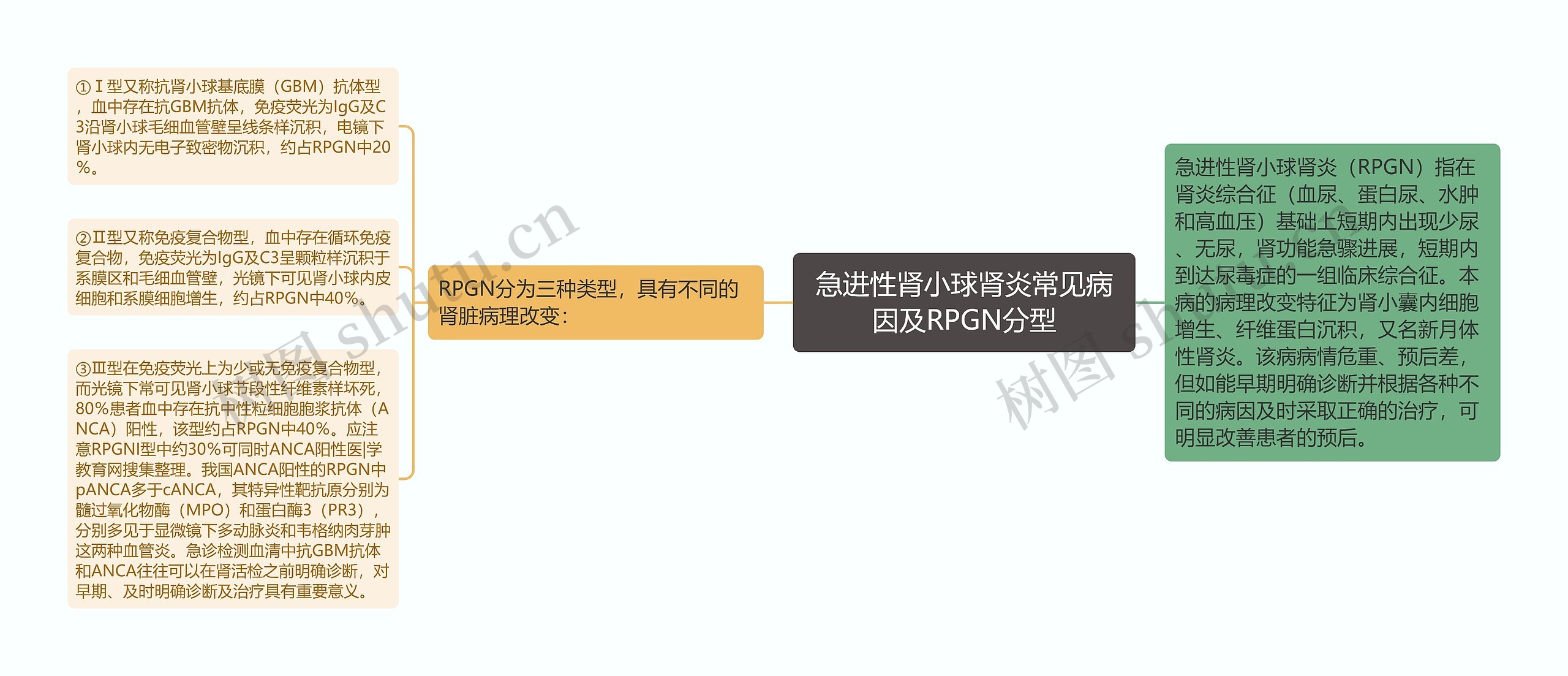 急进性肾小球肾炎常见病因及RPGN分型 急进性肾小球肾炎常见病因及RPGN分型