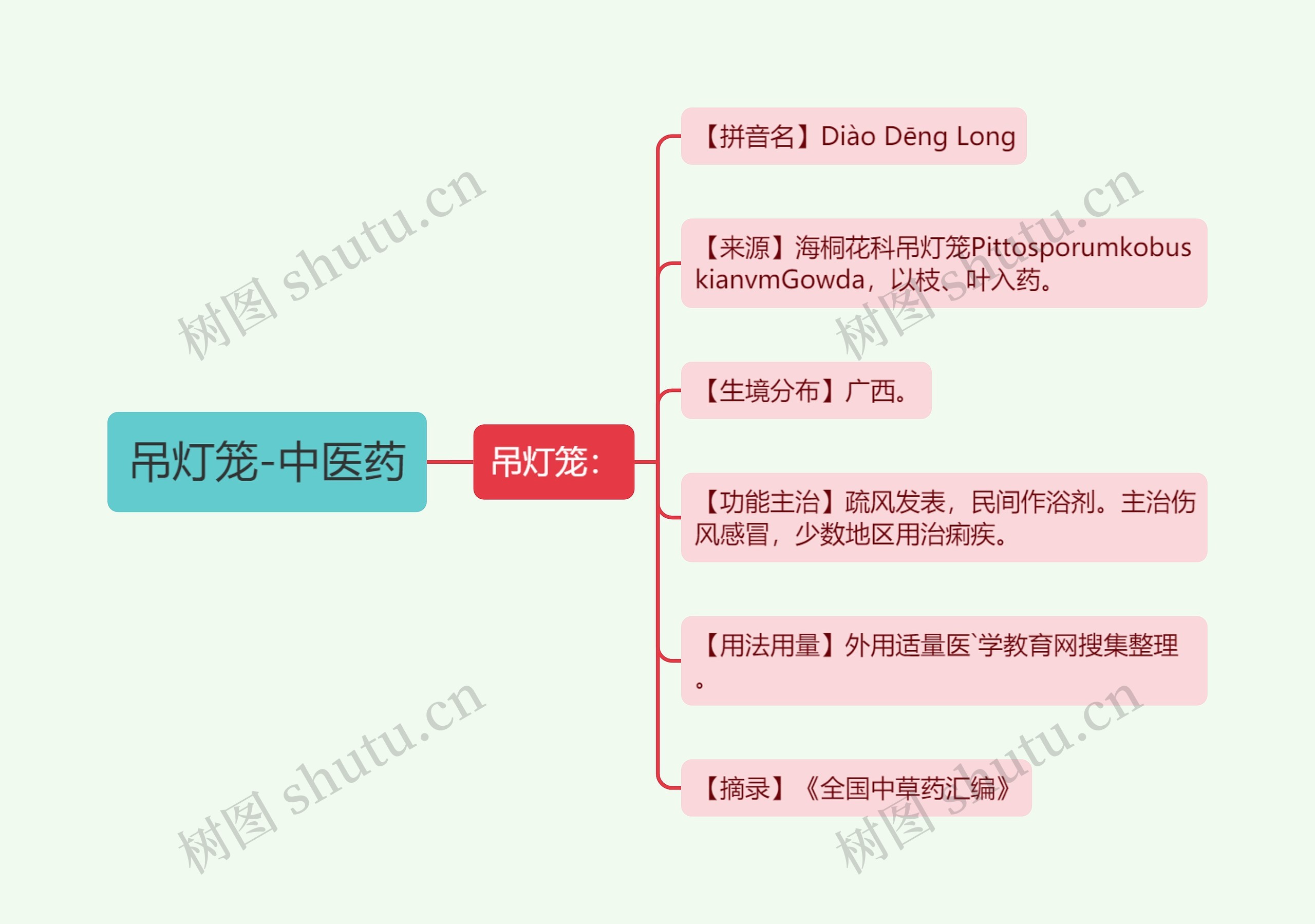 吊灯笼-中医药思维导图