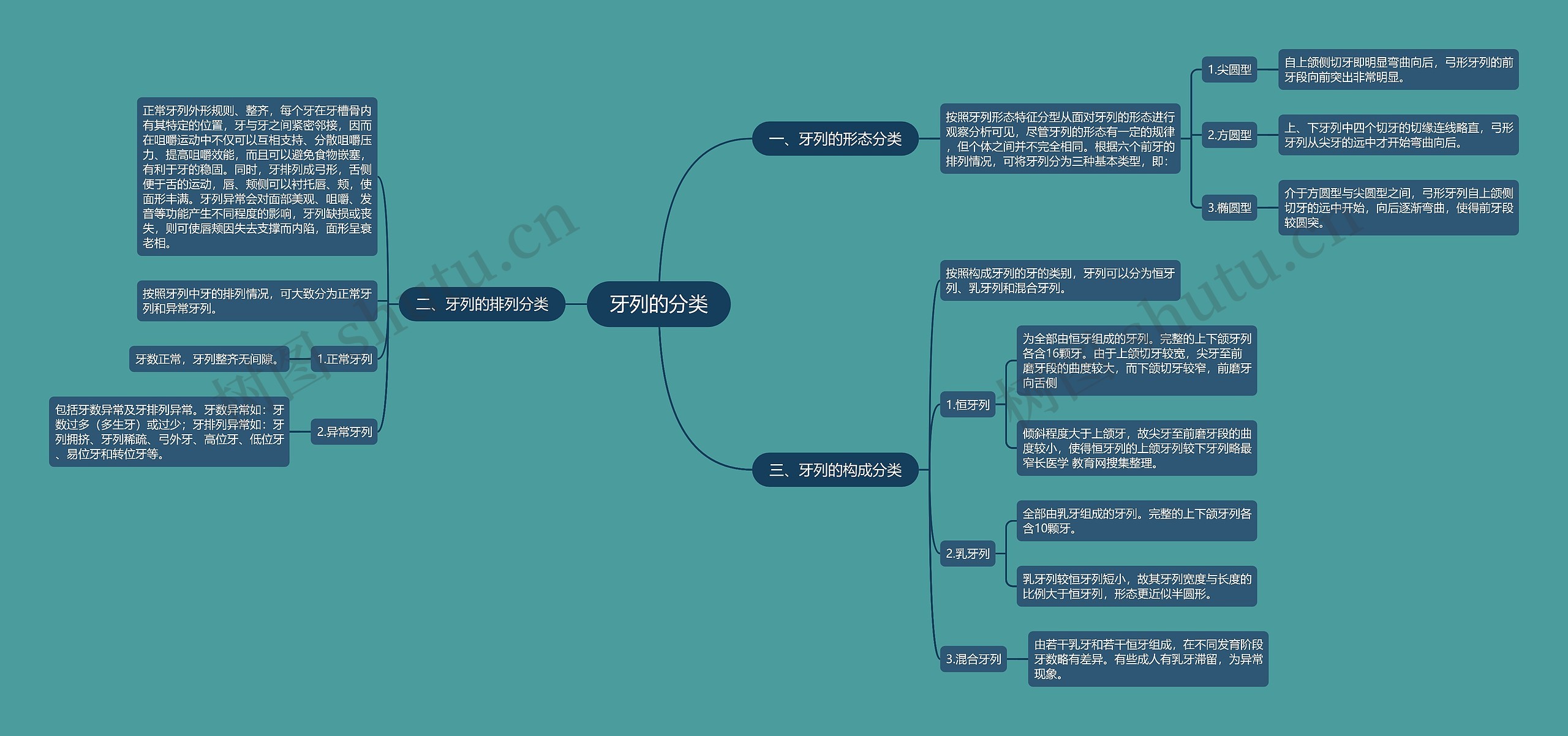 牙列的分类