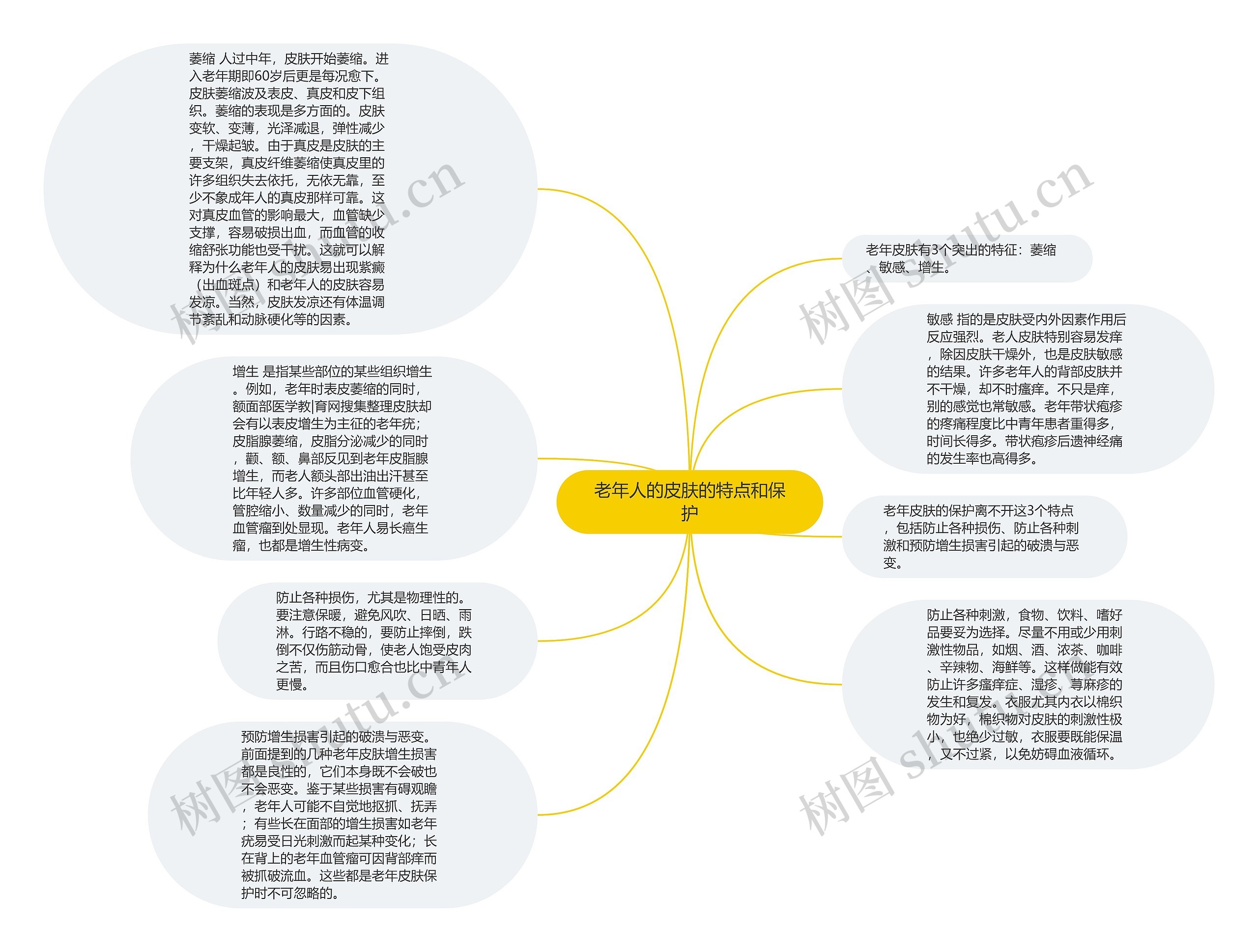 老年人的皮肤的特点和保护思维导图