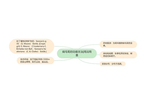 绢毛菊的功能主治|用法用量