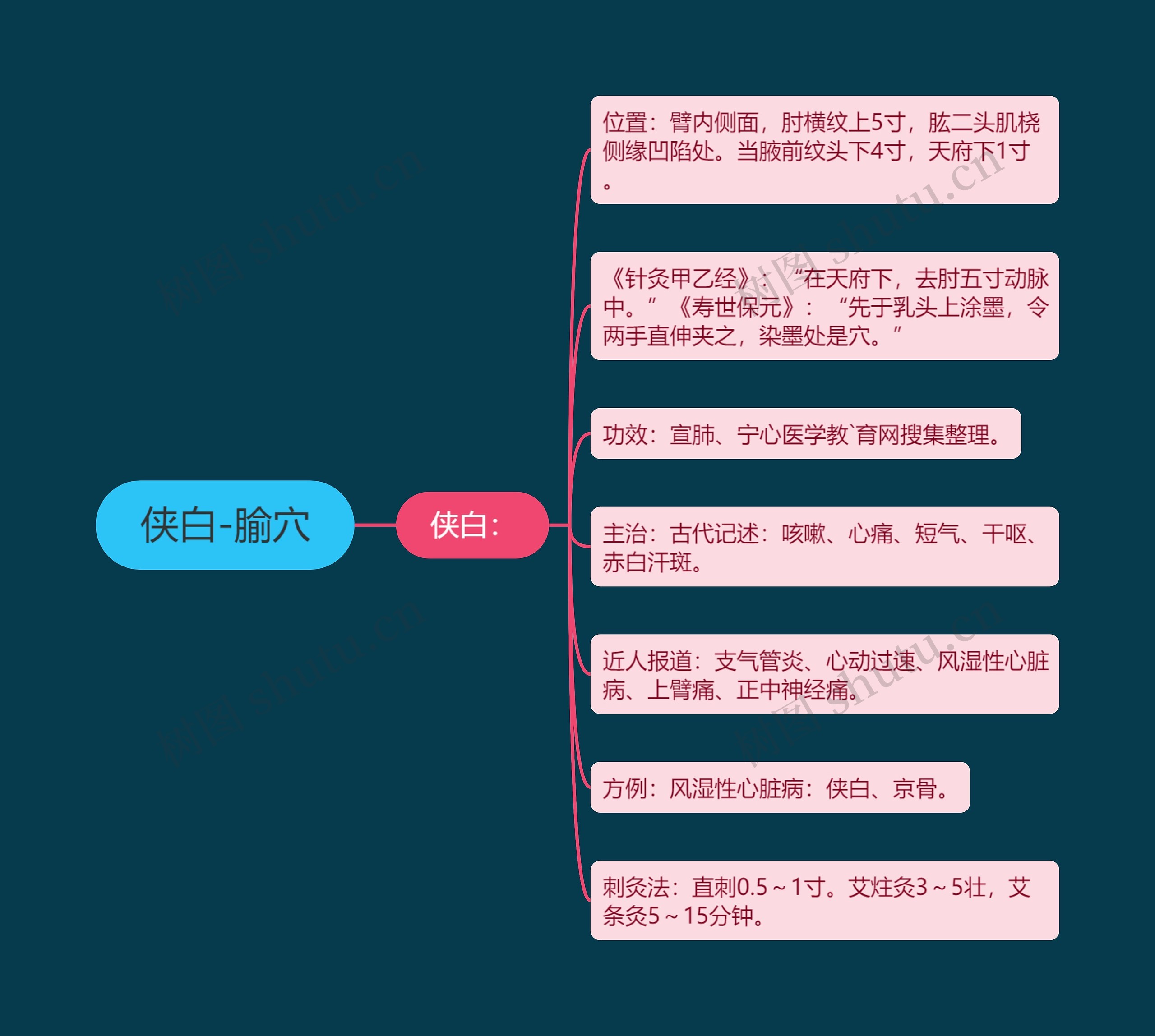 侠白-腧穴 侠白-腧穴