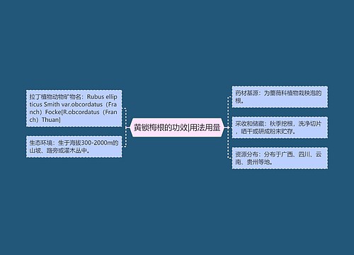 黄锁梅根的功效|用法用量