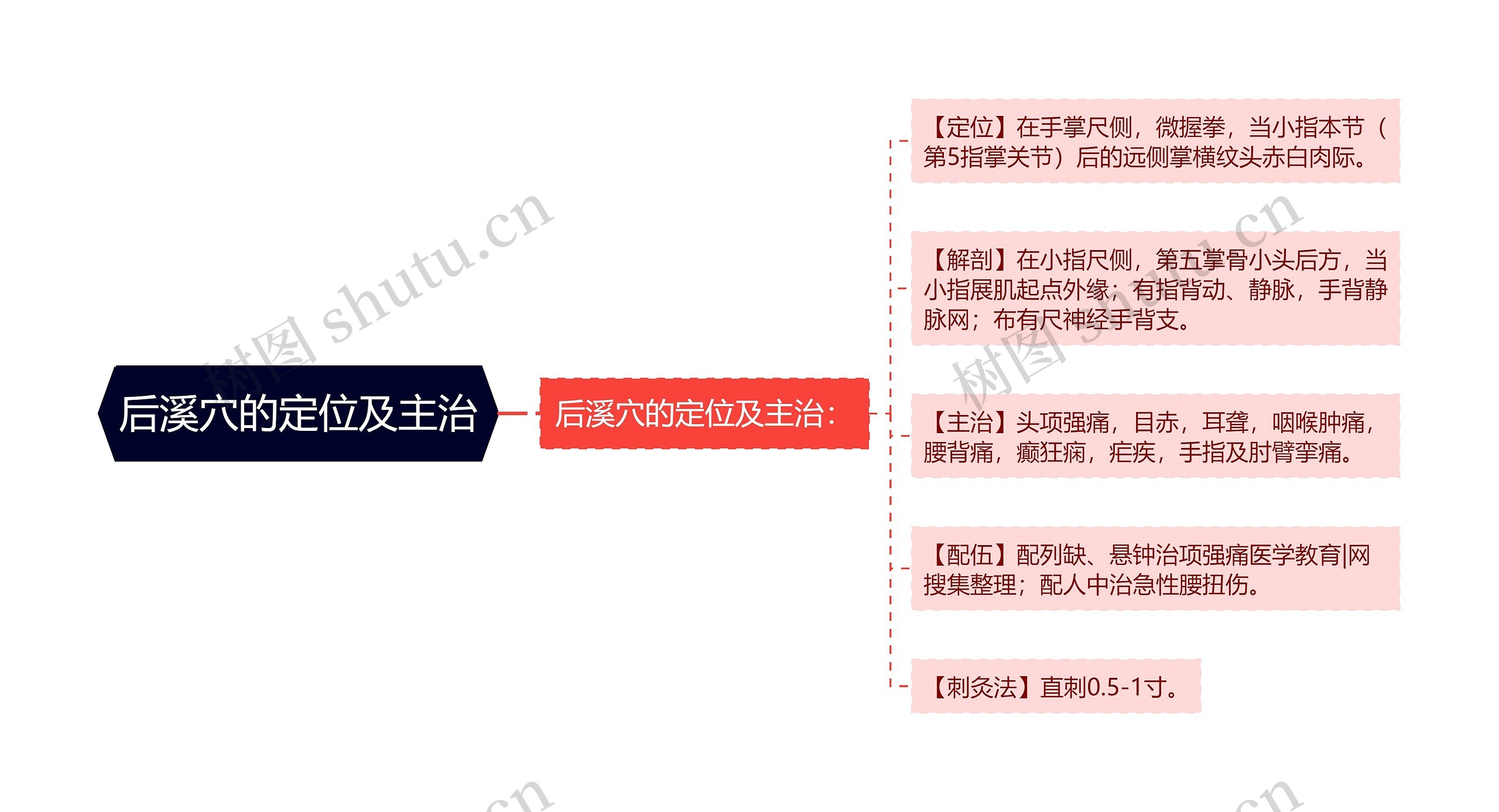 后溪穴的定位及主治思维导图