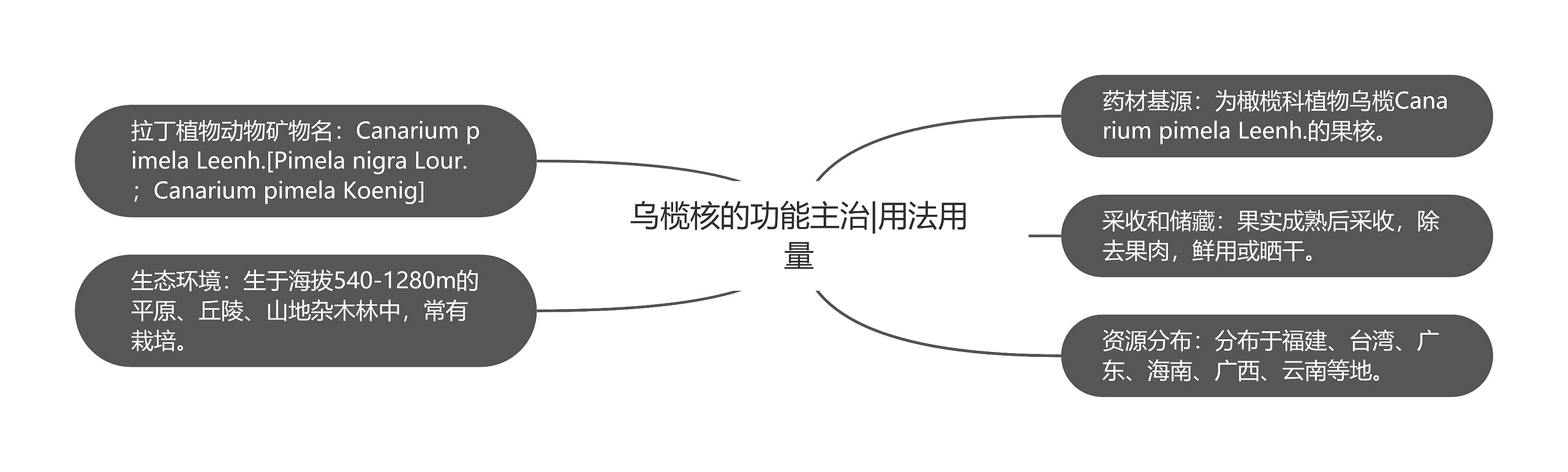 乌榄核的功能主治|用法用量思维导图