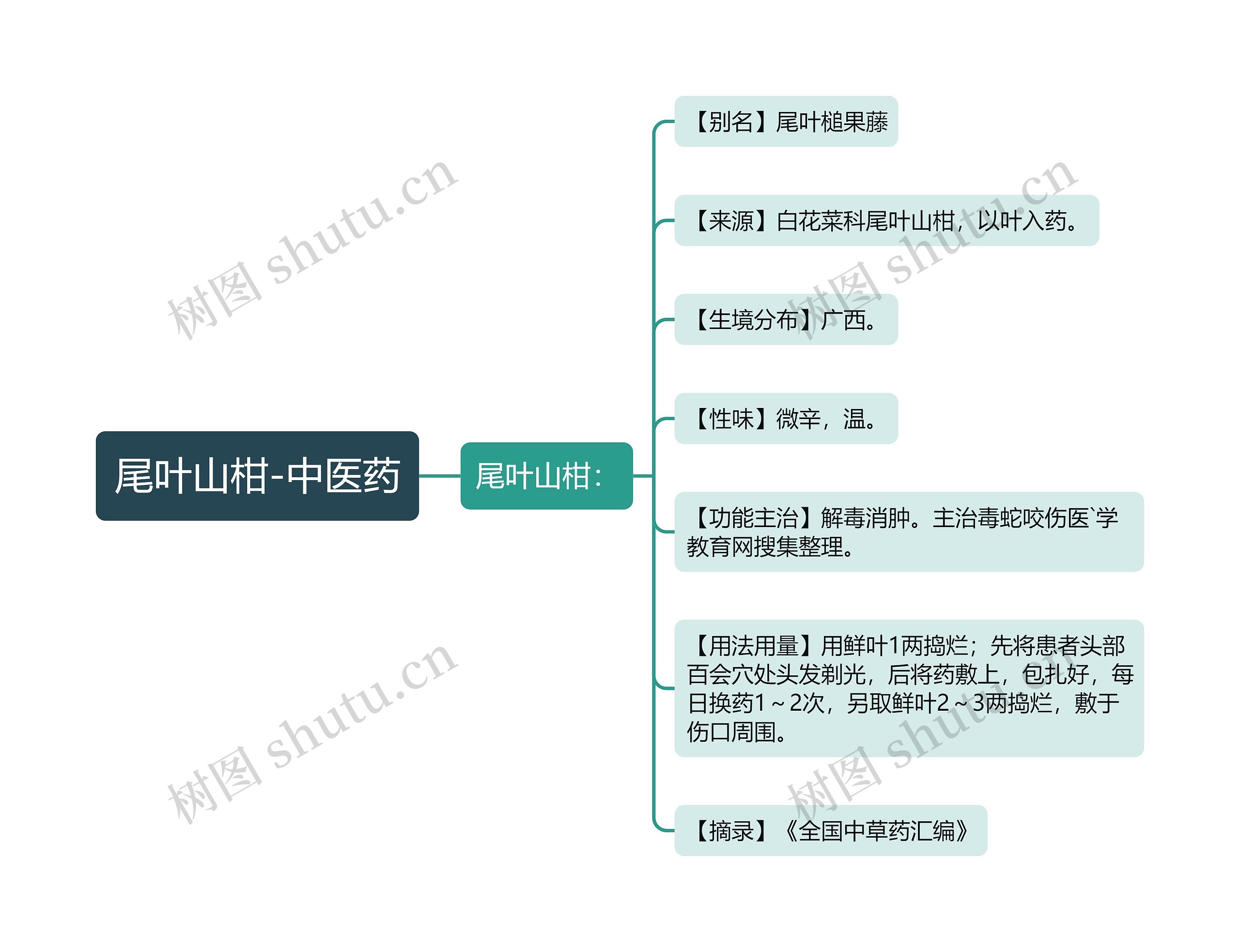 尾叶山柑-中医药 尾叶山柑-中医药