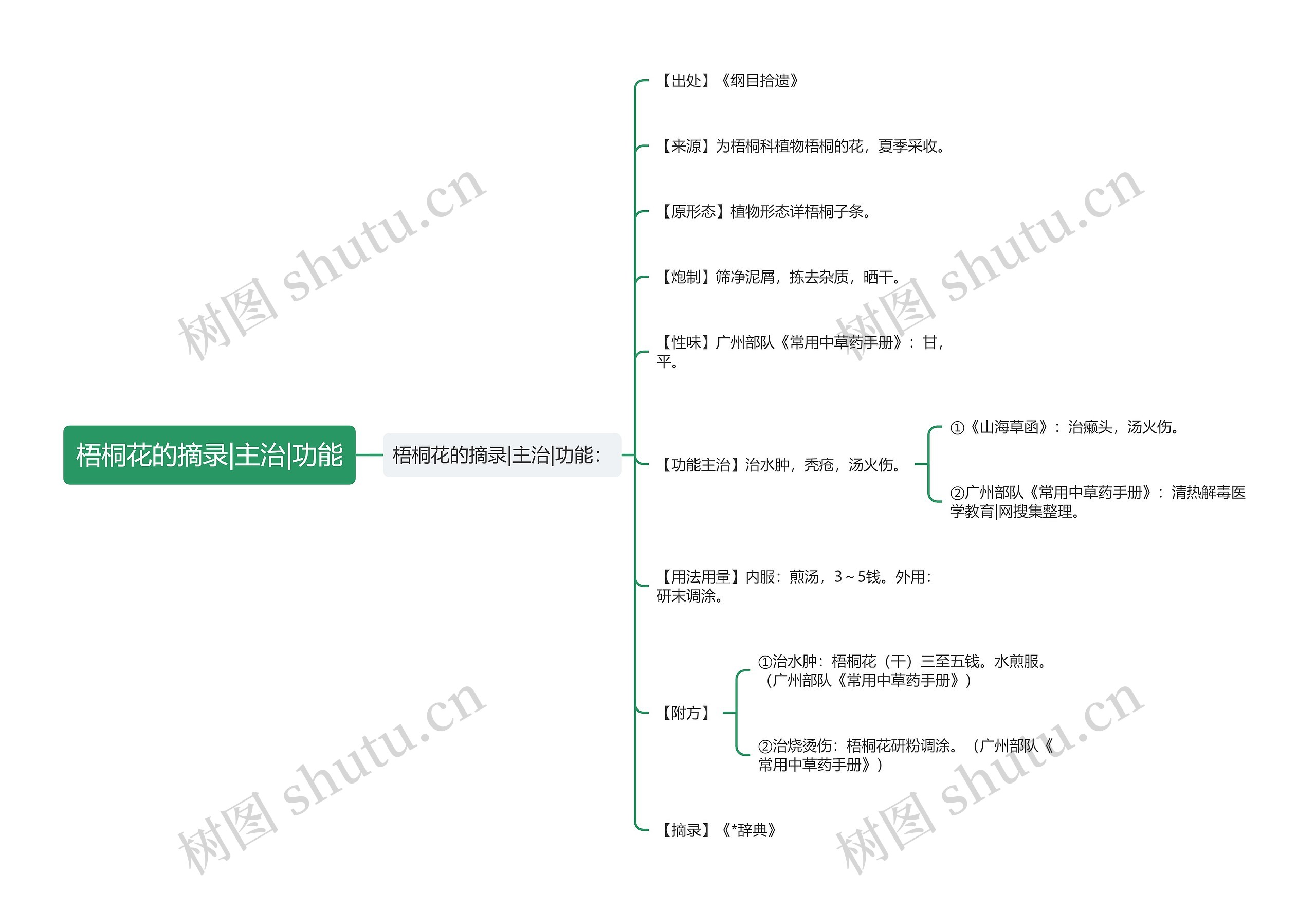 梧桐花的摘录|主治|功能思维导图
