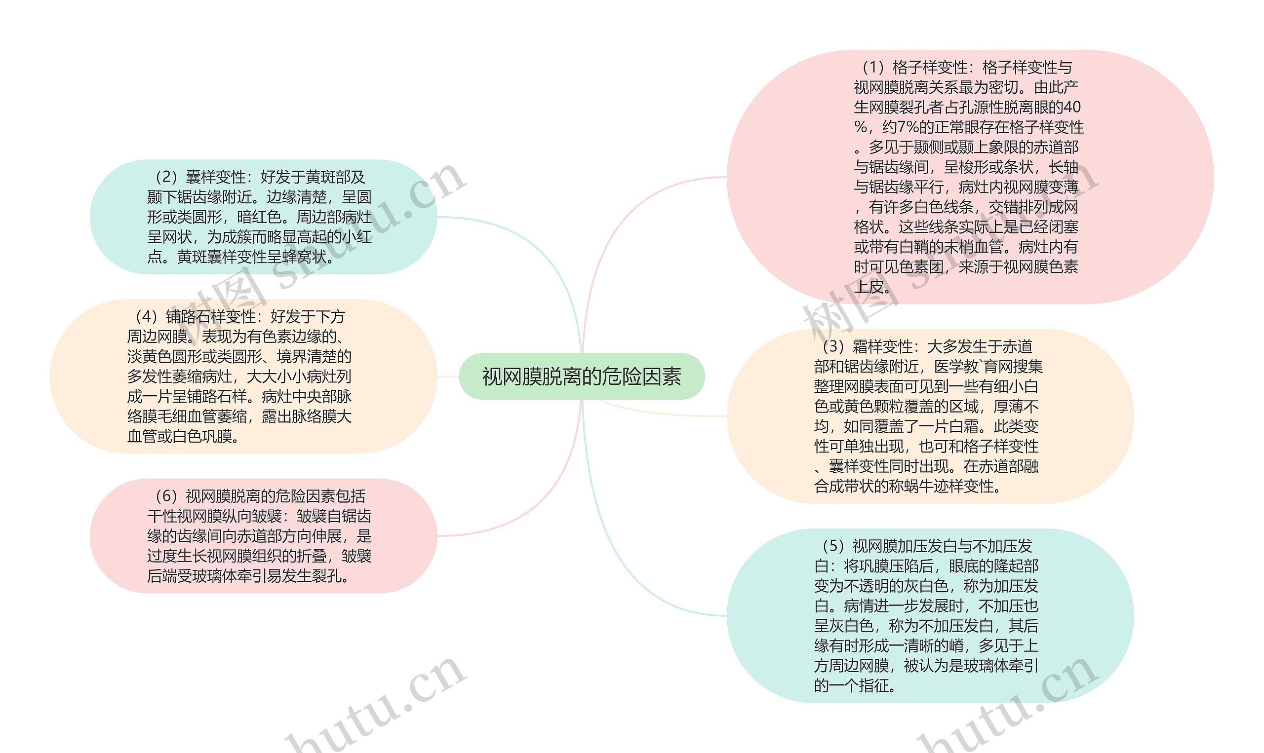 视网膜脱离的危险因素