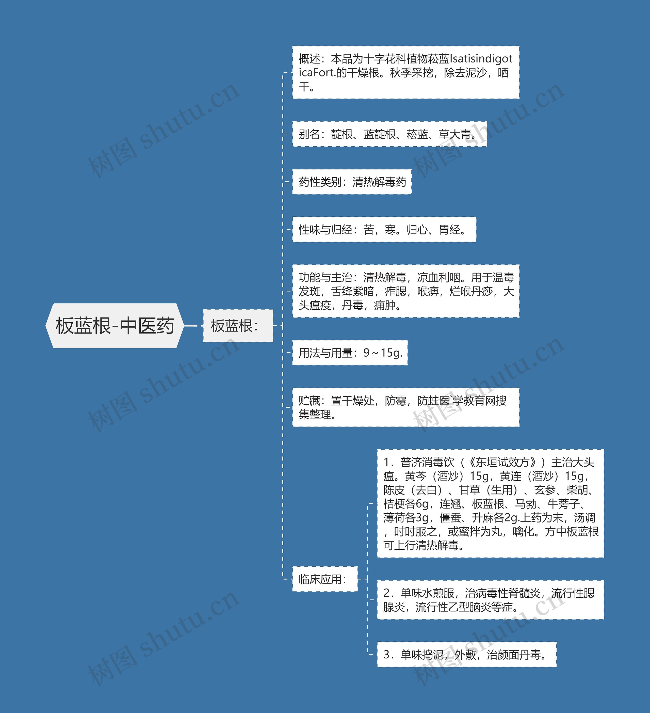 板蓝根-中医药思维导图