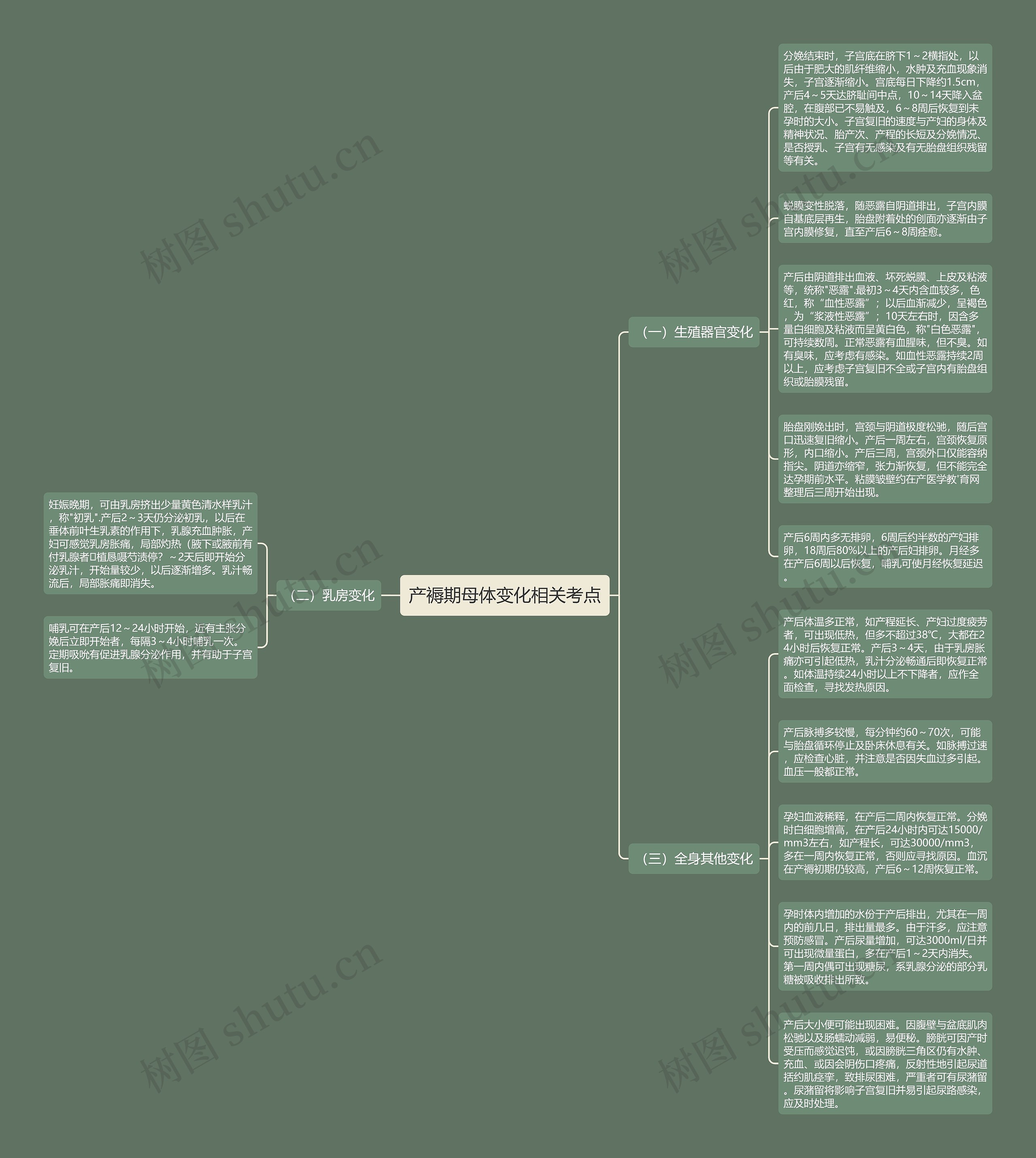 产褥期母体变化相关考点