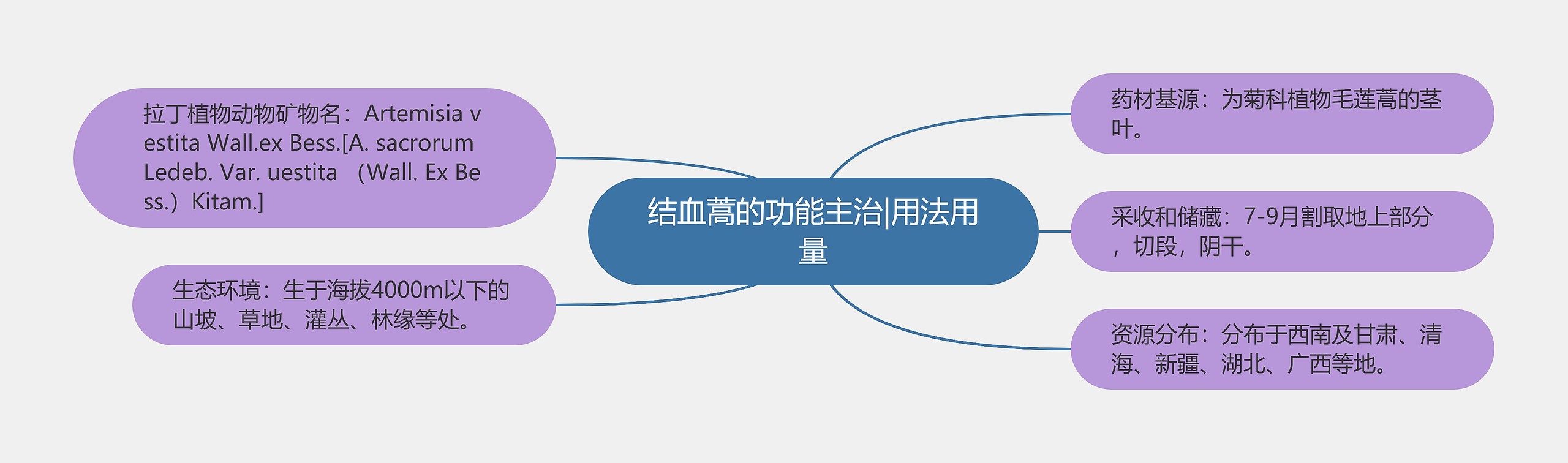 结血蒿的功能主治|用法用量思维导图