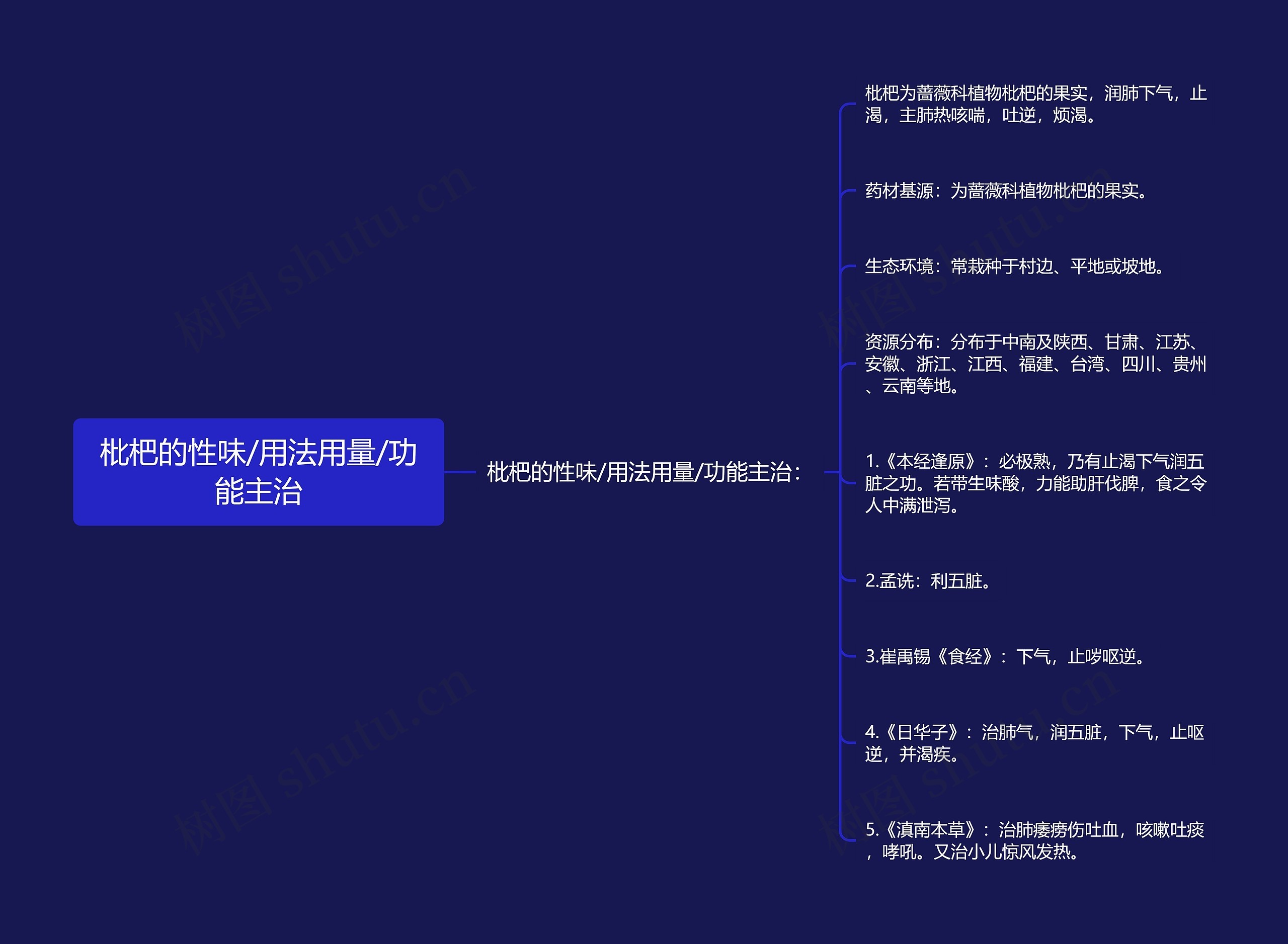 枇杷的性味/用法用量/功能主治思维导图