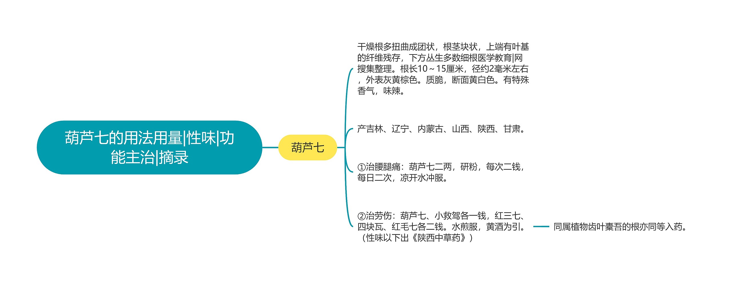 葫芦七的用法用量|性味|功能主治|摘录思维导图