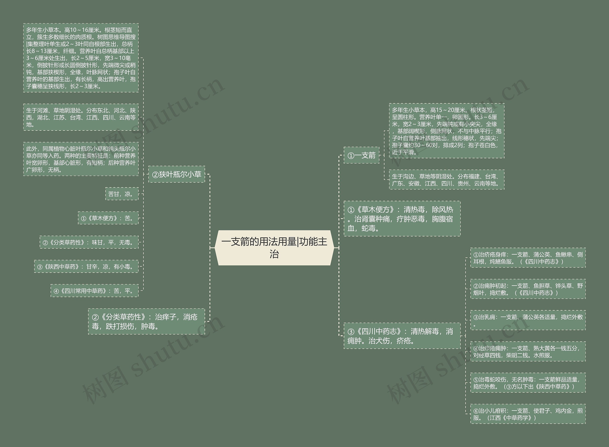 一支箭的用法用量|功能主治思维导图