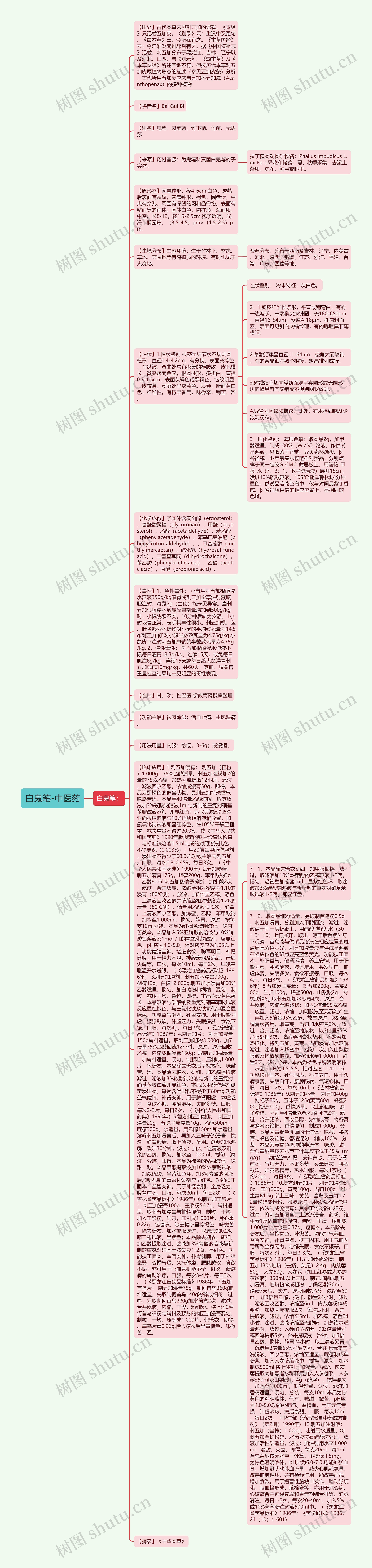 白鬼笔-中医药思维导图