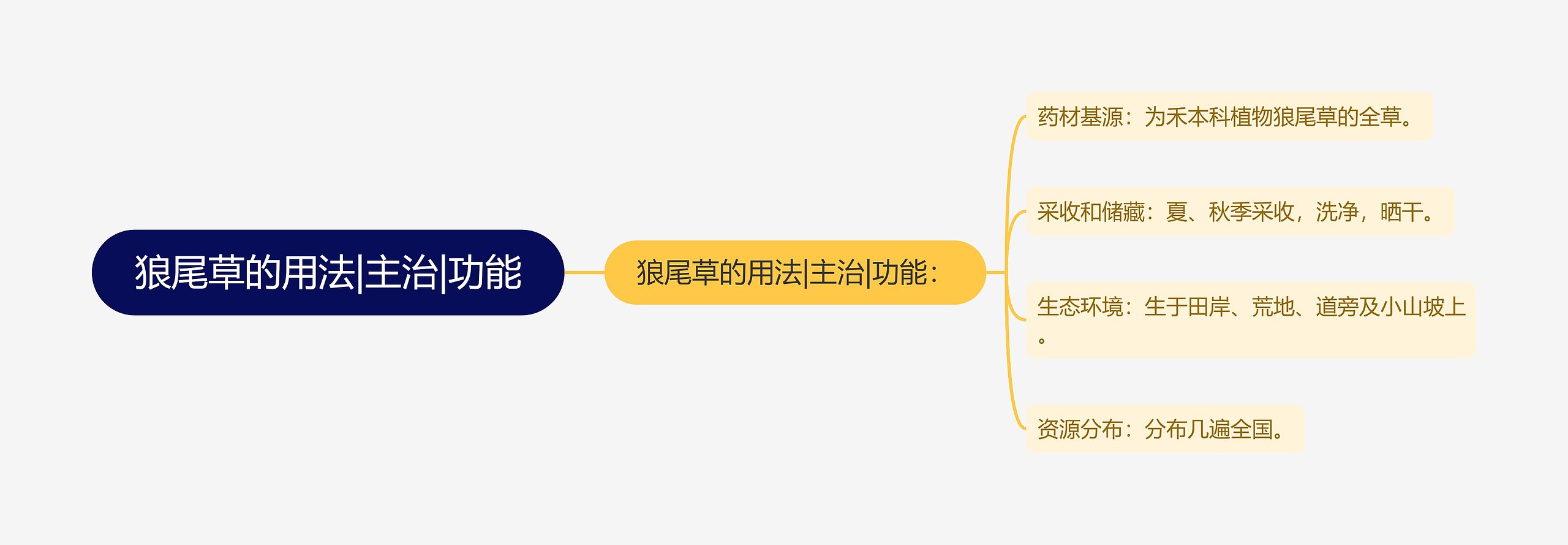 狼尾草的用法|主治|功能思维导图