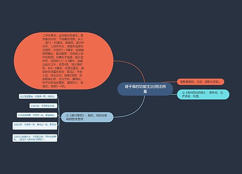 肾子草的功能主治|用法用量