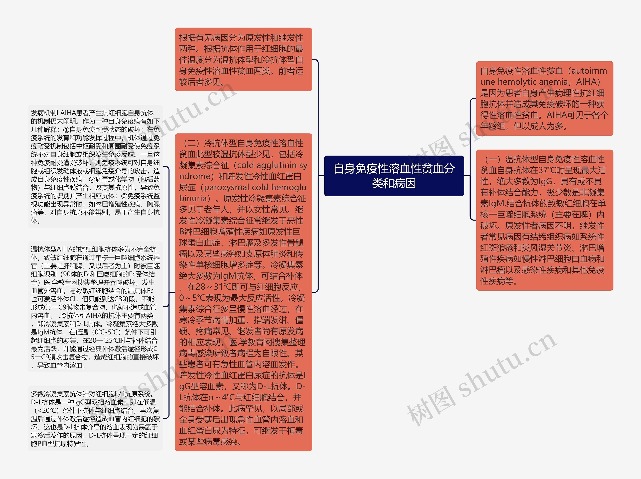 自身免疫性溶血性贫血分类和病因思维导图