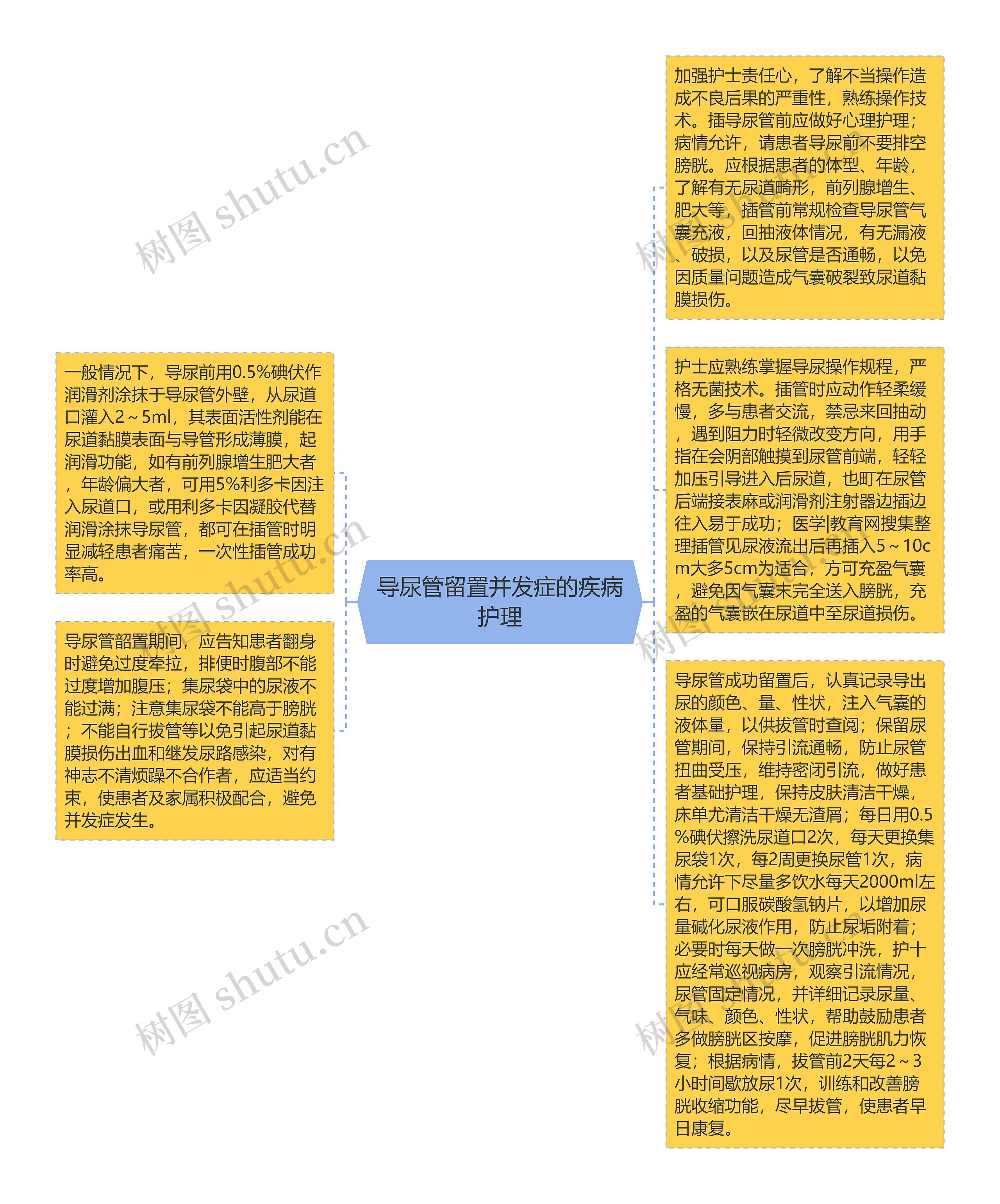 导尿管留置并发症的疾病护理思维导图