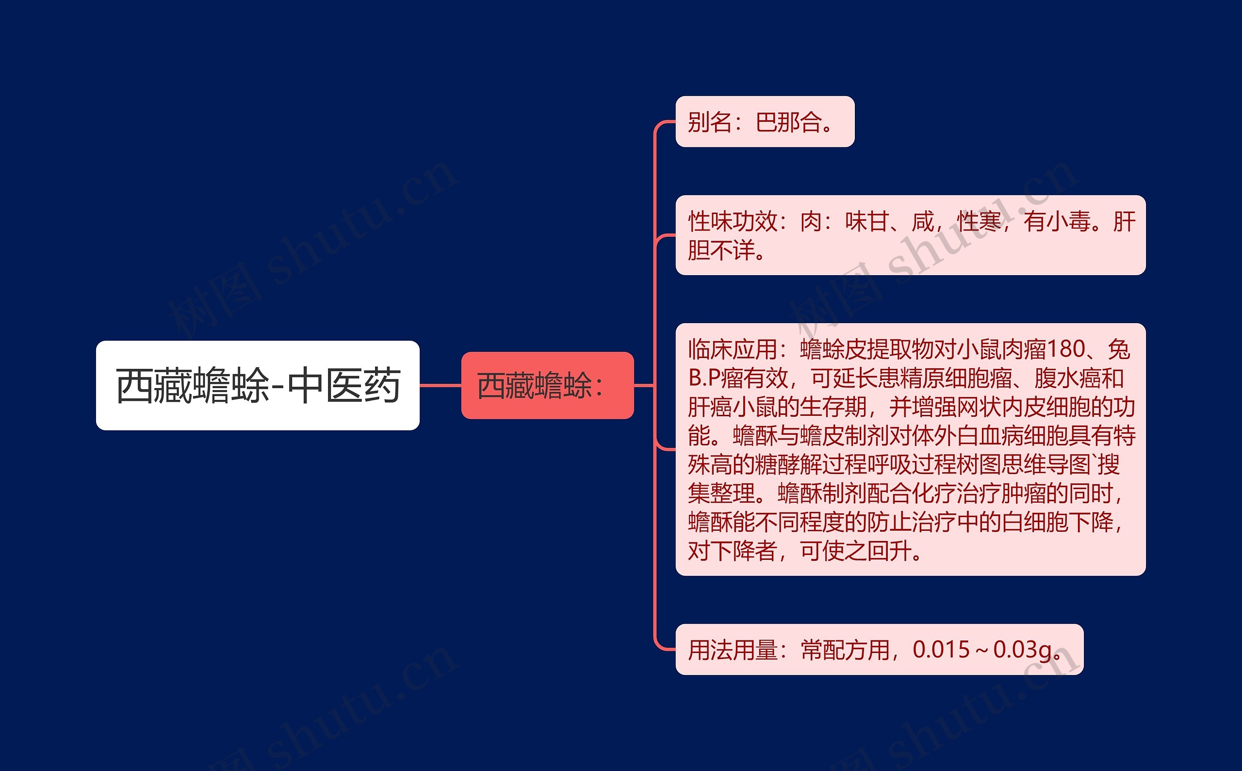 西藏蟾蜍-中医药思维导图