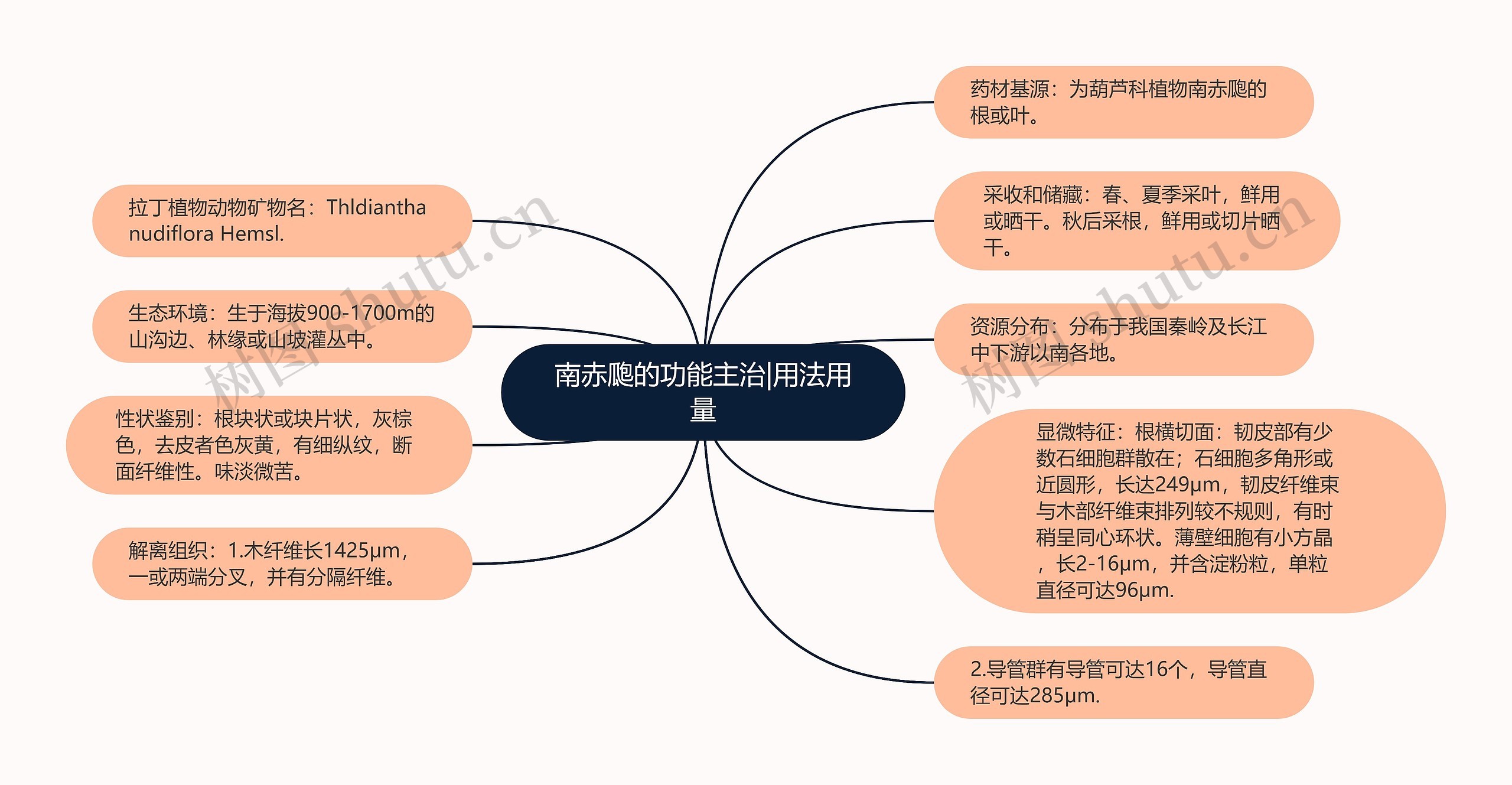 南赤瓟的功能主治|用法用量