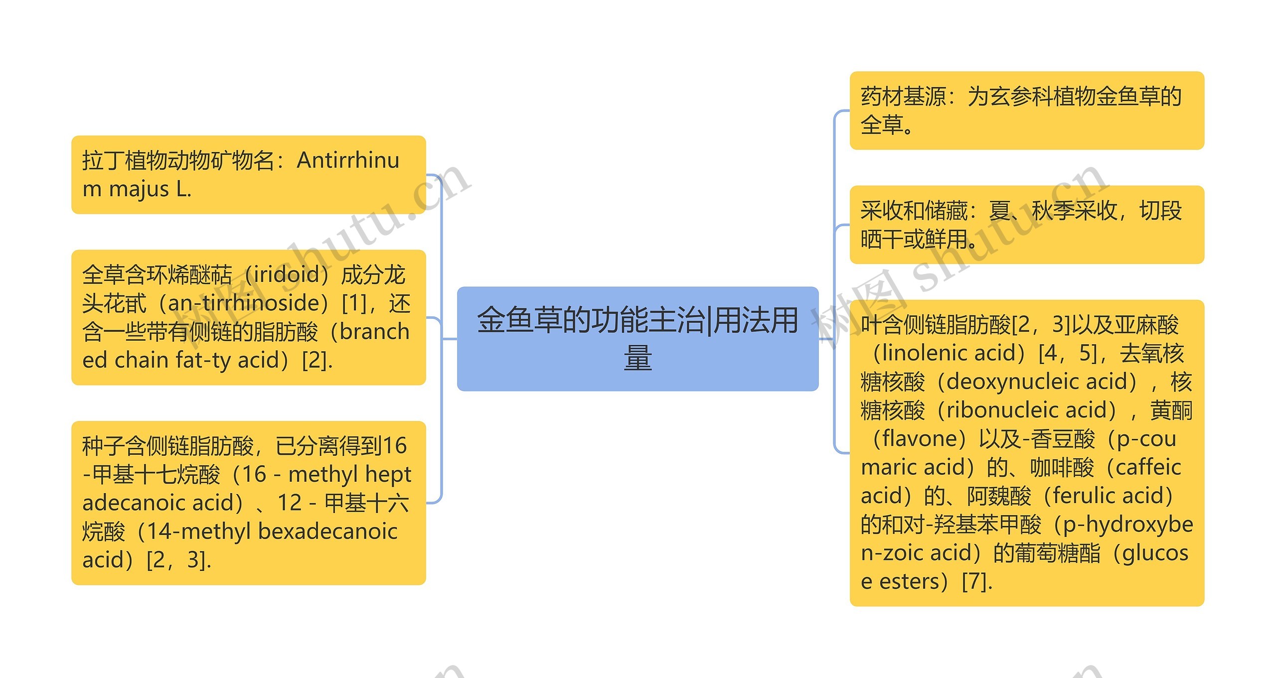 金鱼草的功能主治|用法用量