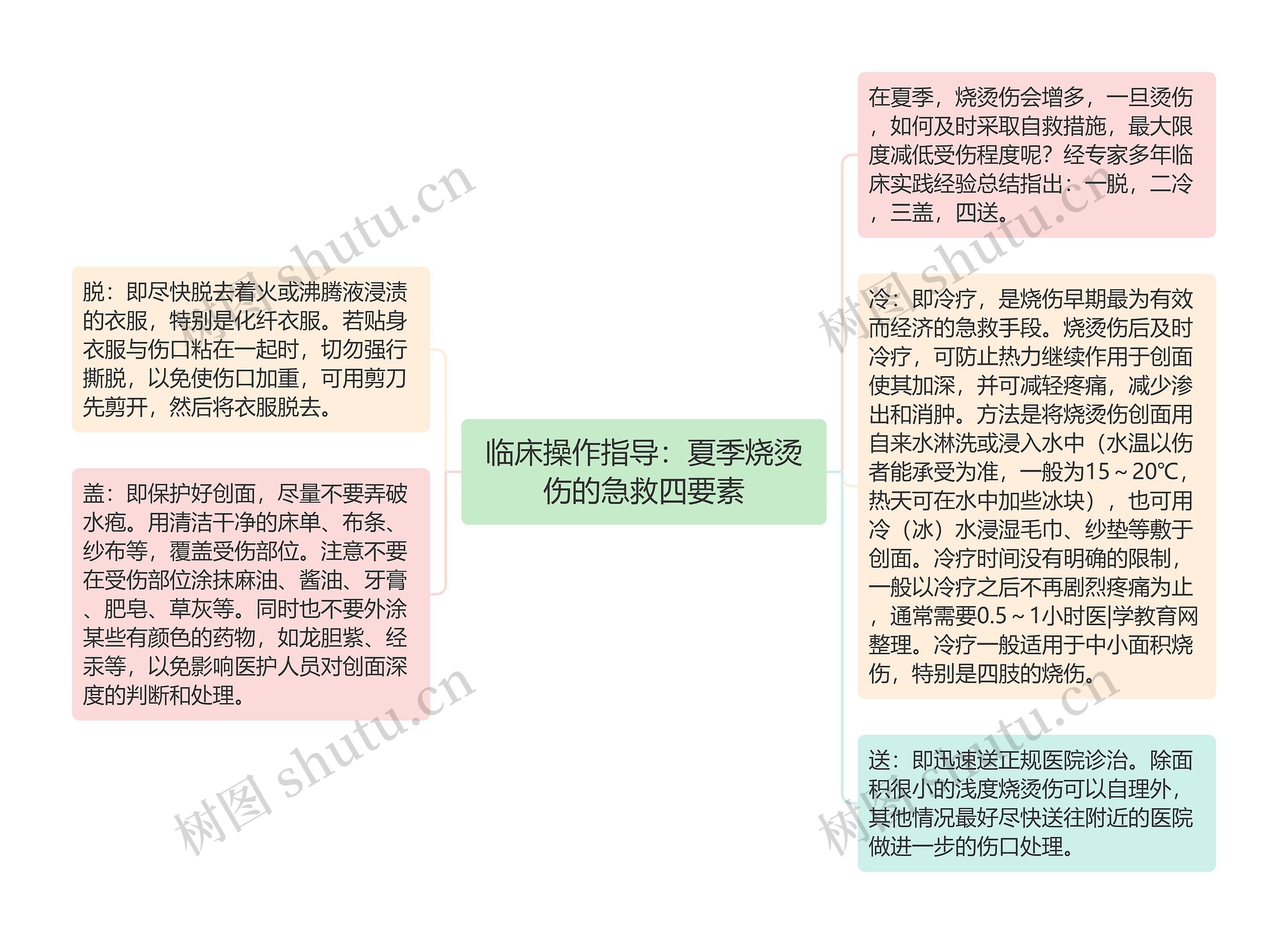 临床操作指导：夏季烧烫伤的急救四要素