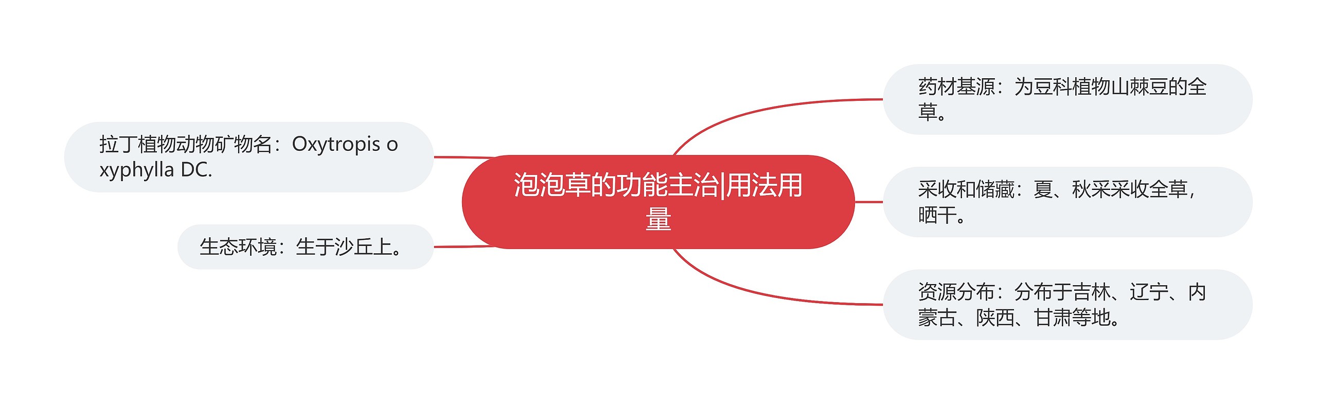 泡泡草的功能主治|用法用量 泡泡草的功能主治|用法用量