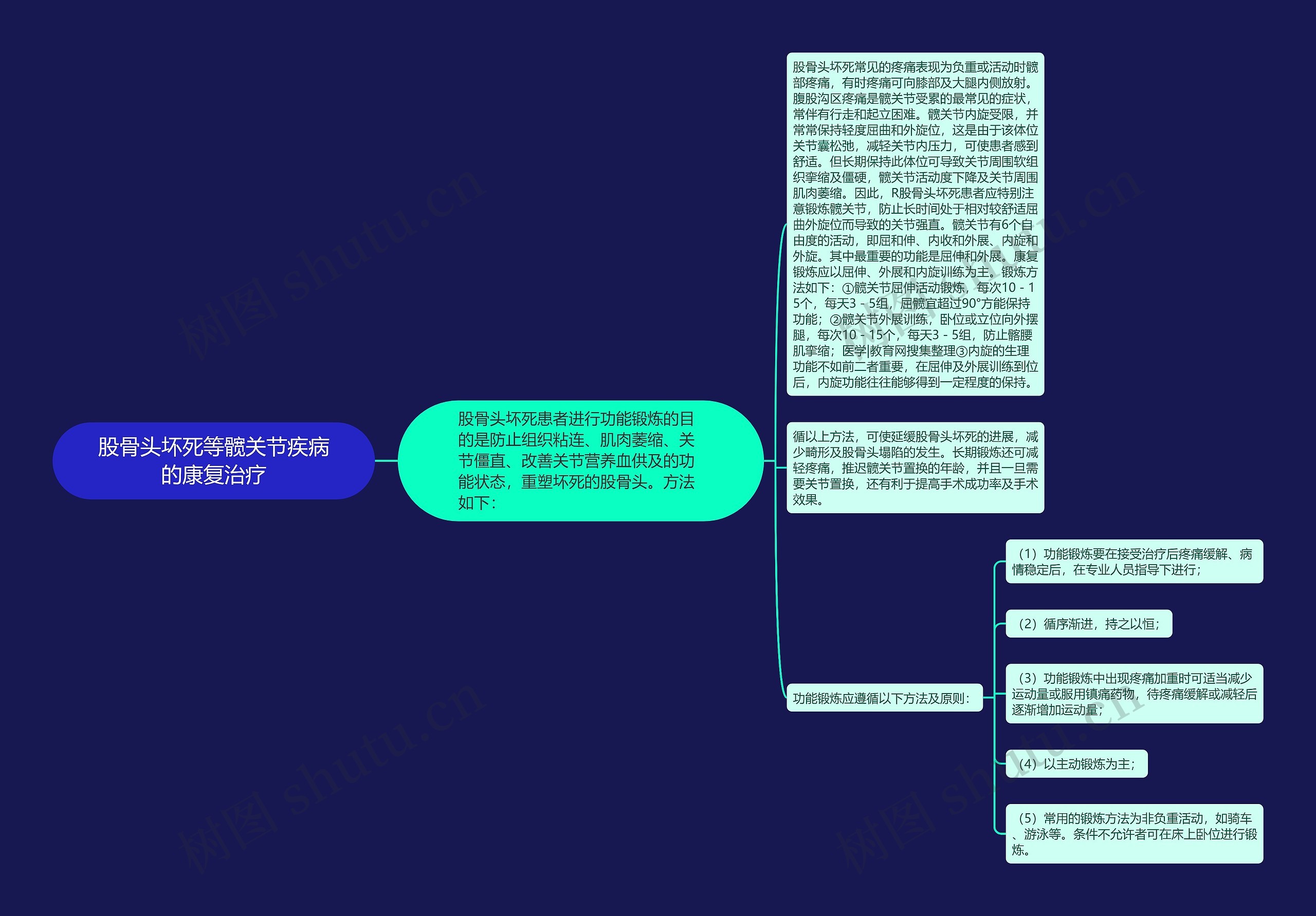 股骨头坏死等髋关节疾病的康复治疗思维导图