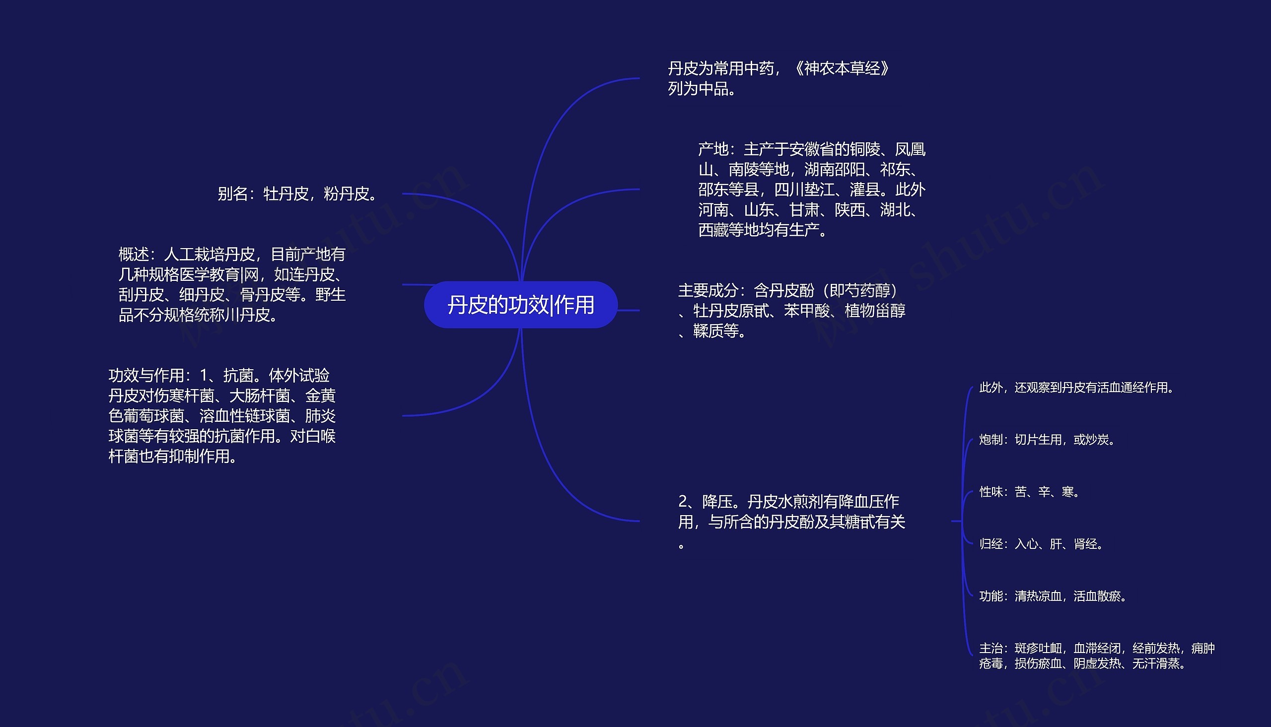 丹皮的功效|作用思维导图