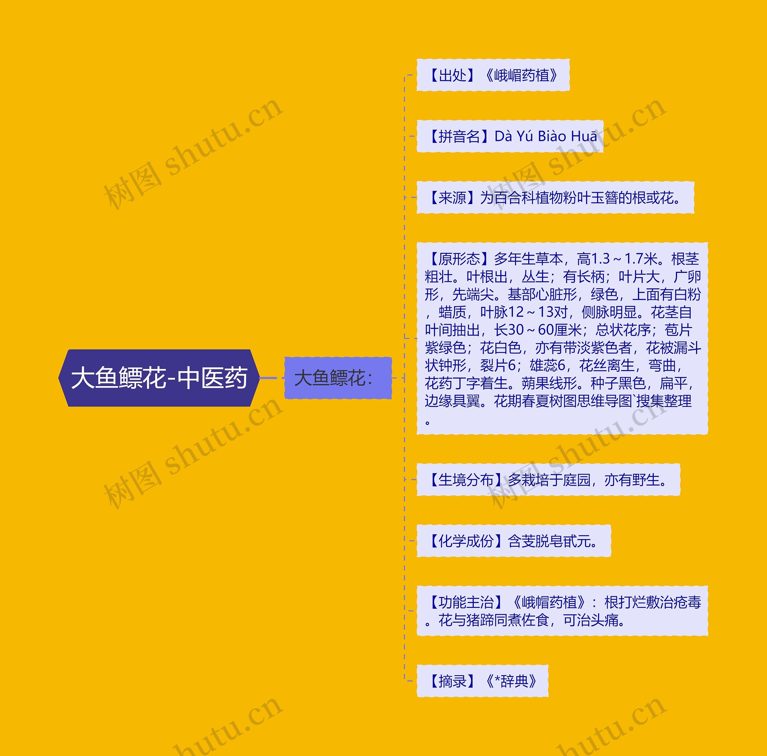 大鱼鳔花-中医药 大鱼鳔花-中医药