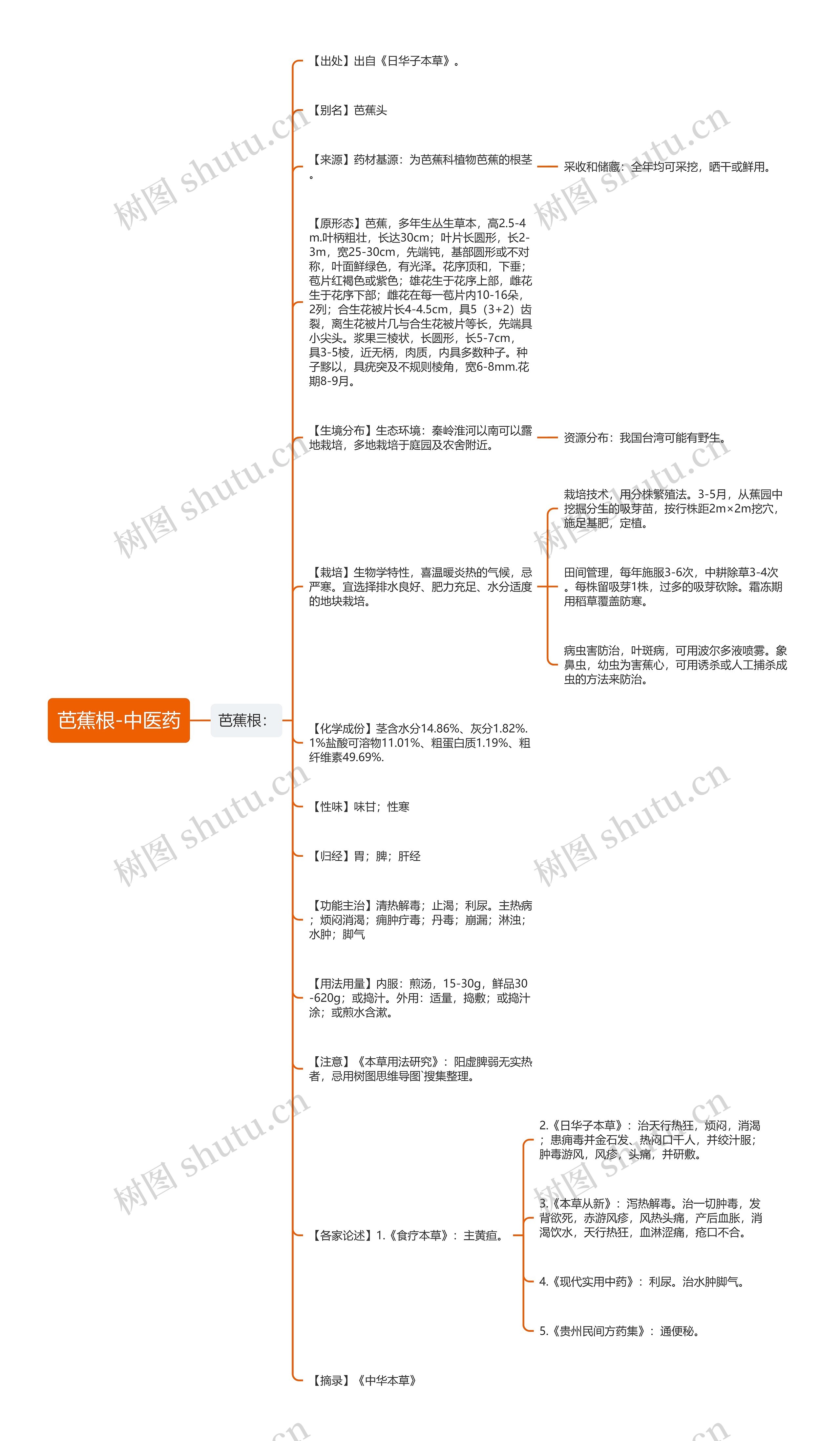 芭蕉根-中医药思维导图