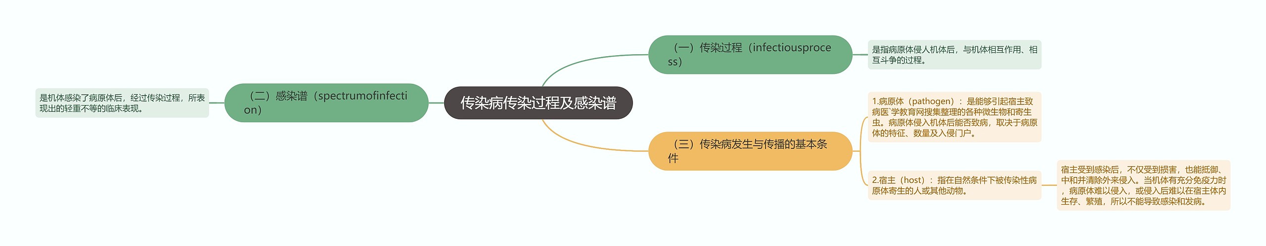 传染病传染过程及感染谱