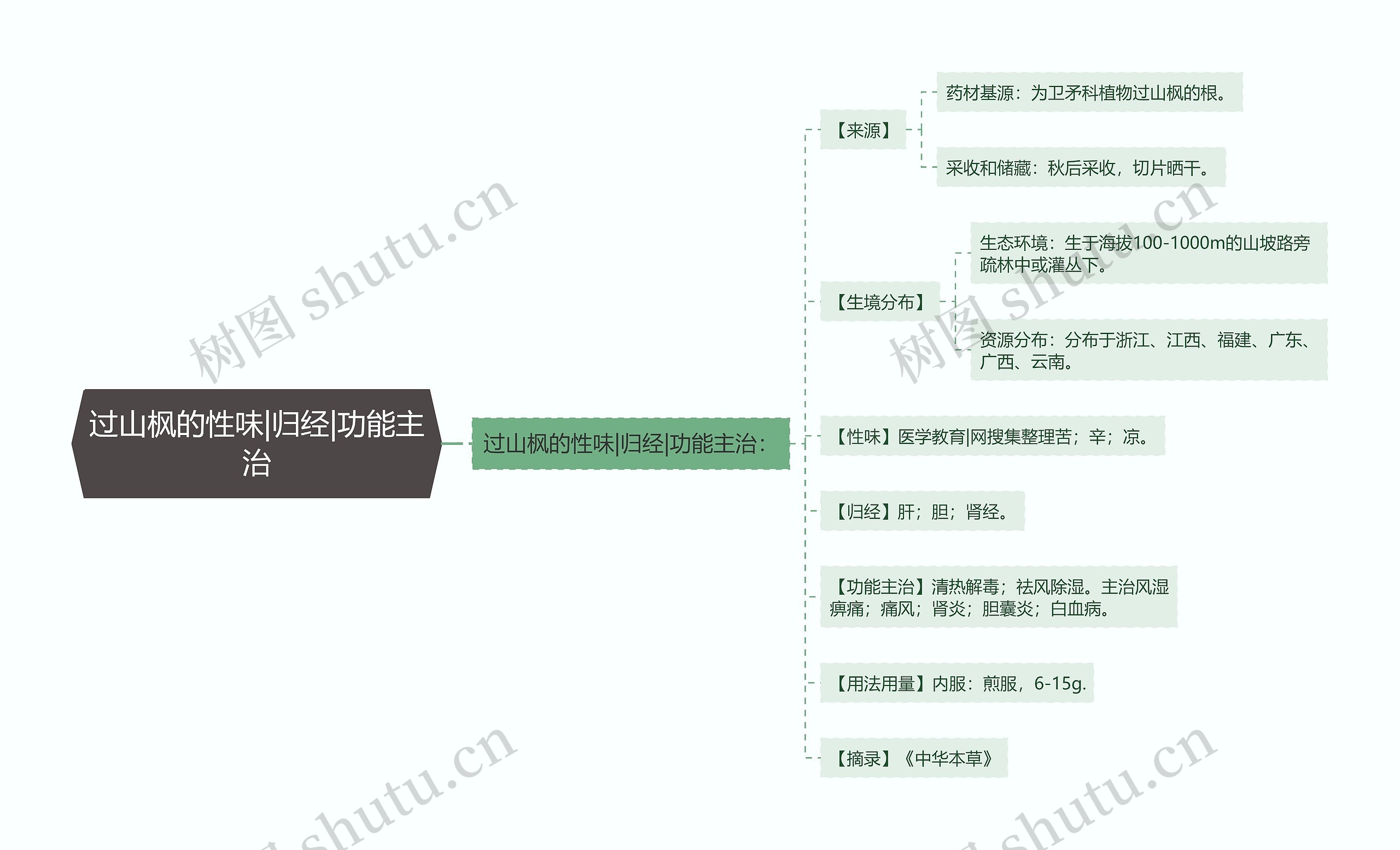 过山枫的性味|归经|功能主治