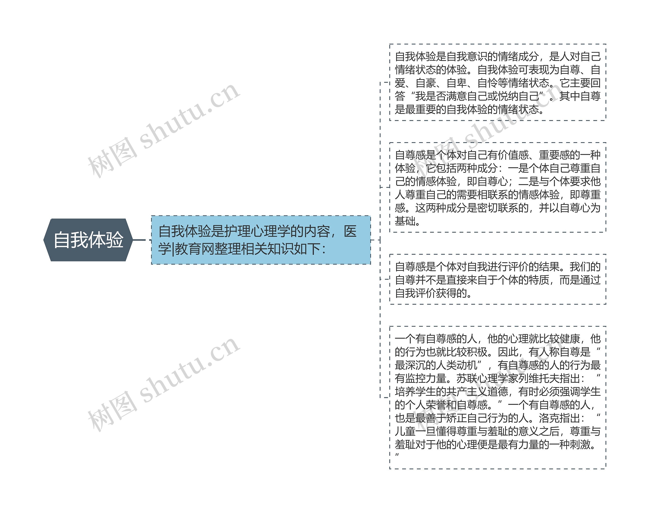 自我体验思维导图