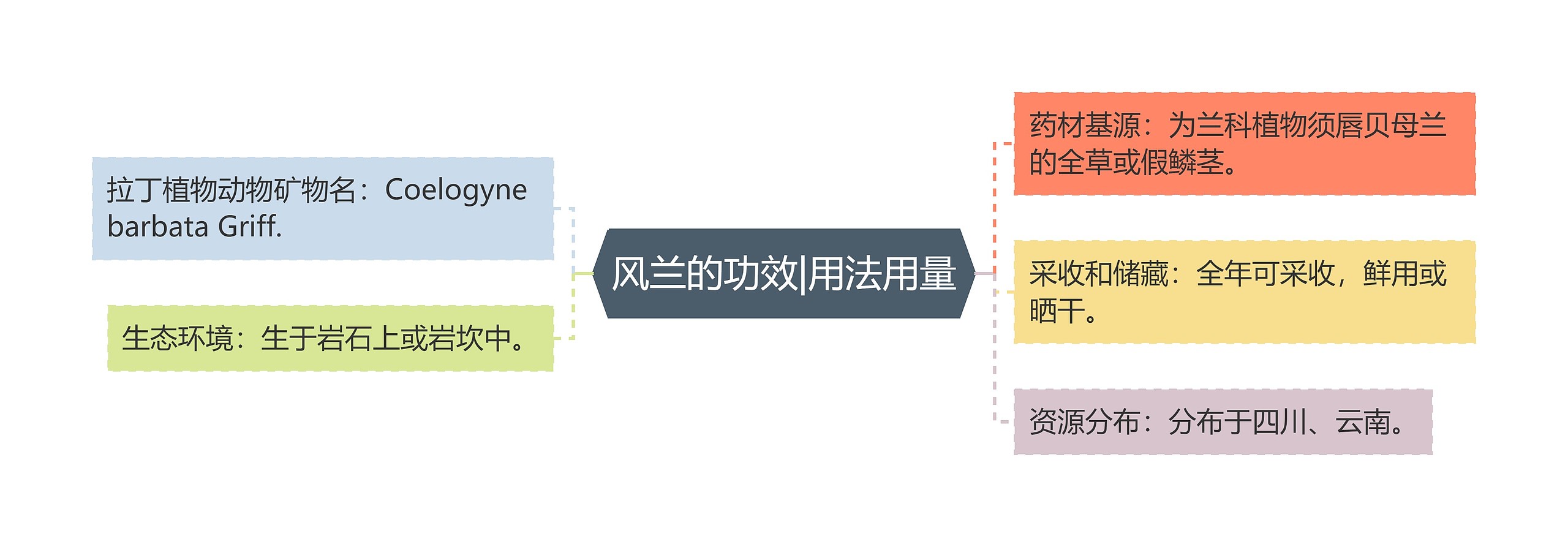 风兰的功效|用法用量思维导图