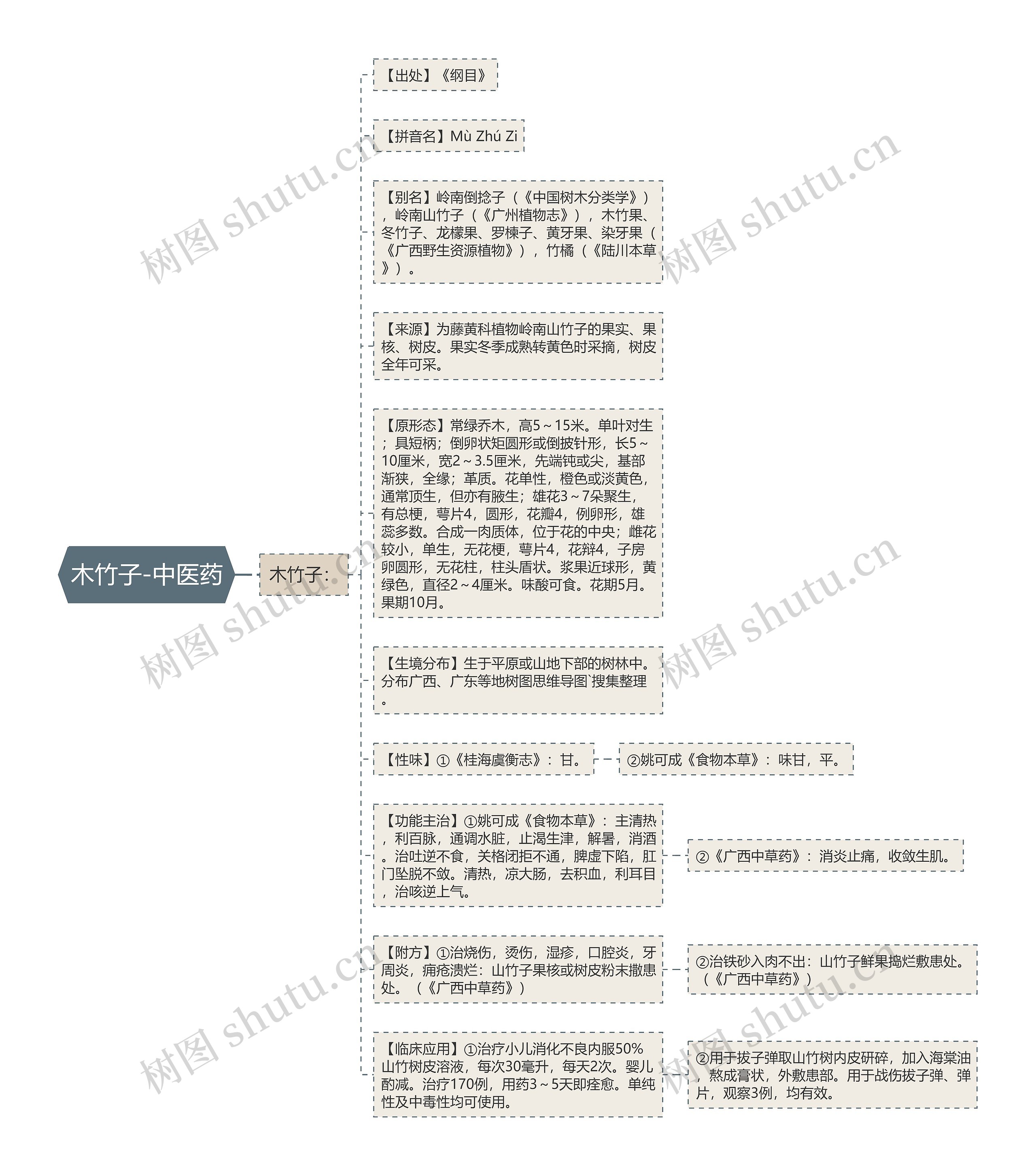 木竹子-中医药思维导图