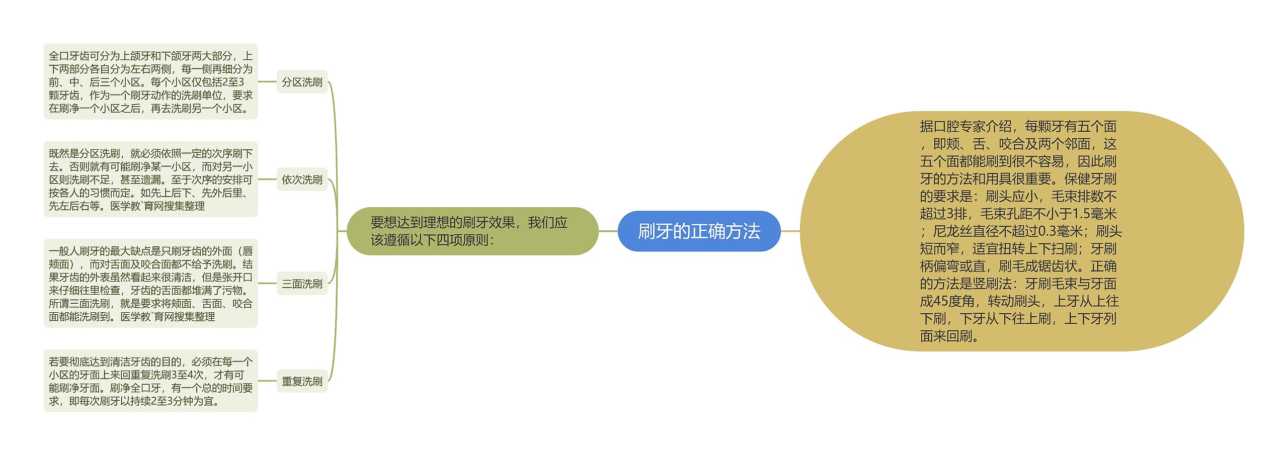 刷牙的正确方法思维导图